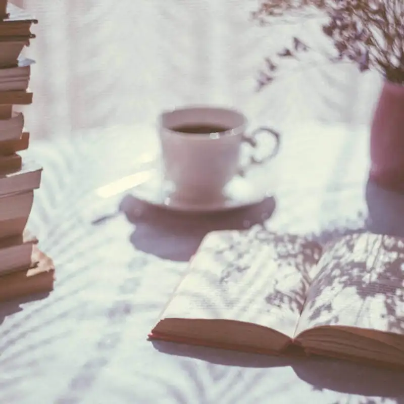 Foster falando português e uma ótima recomendação de livro!