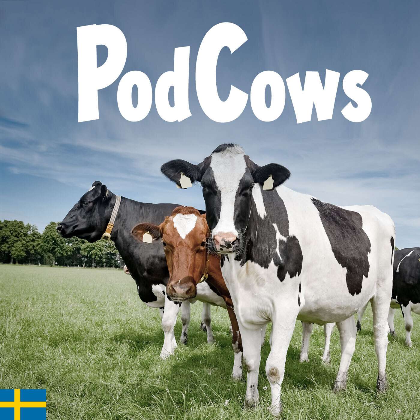 Podcows på bete - ett samtal om hur man gör betessäsongen till en succé med Sofie Ekegren