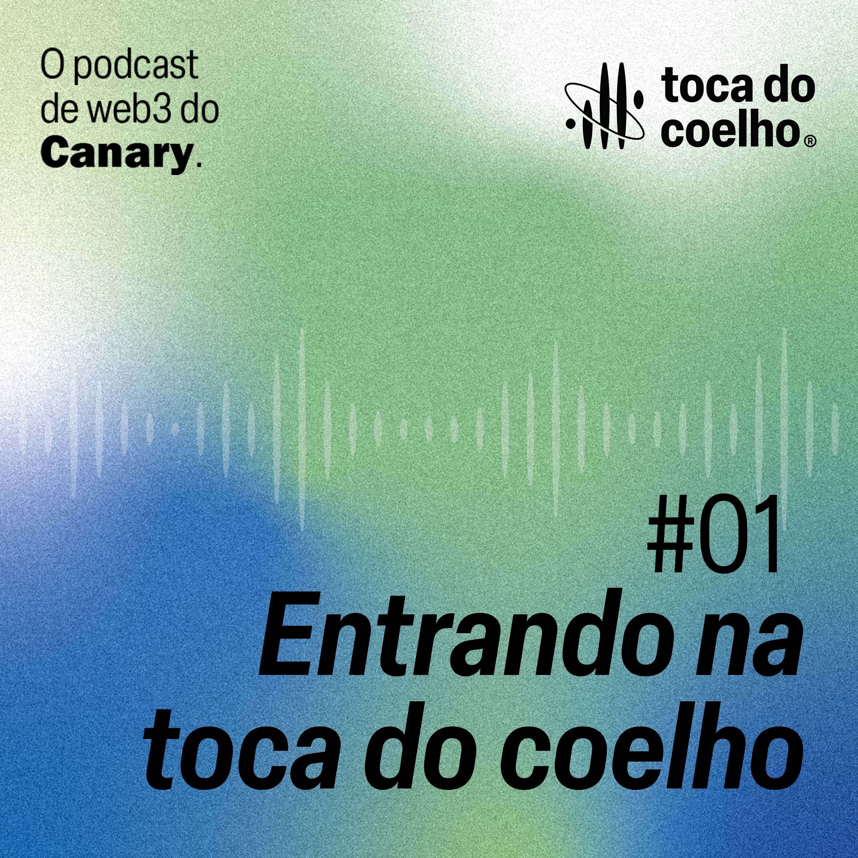 Toca do coelho