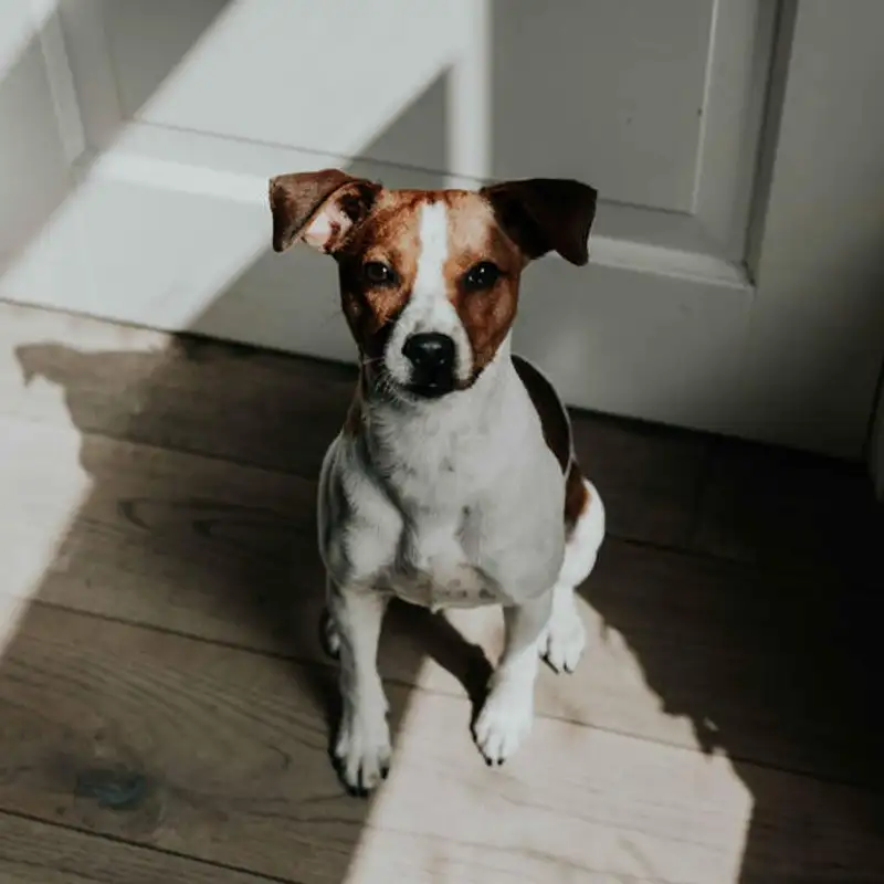 A Pronúncia em Inglês: como falar SIT!