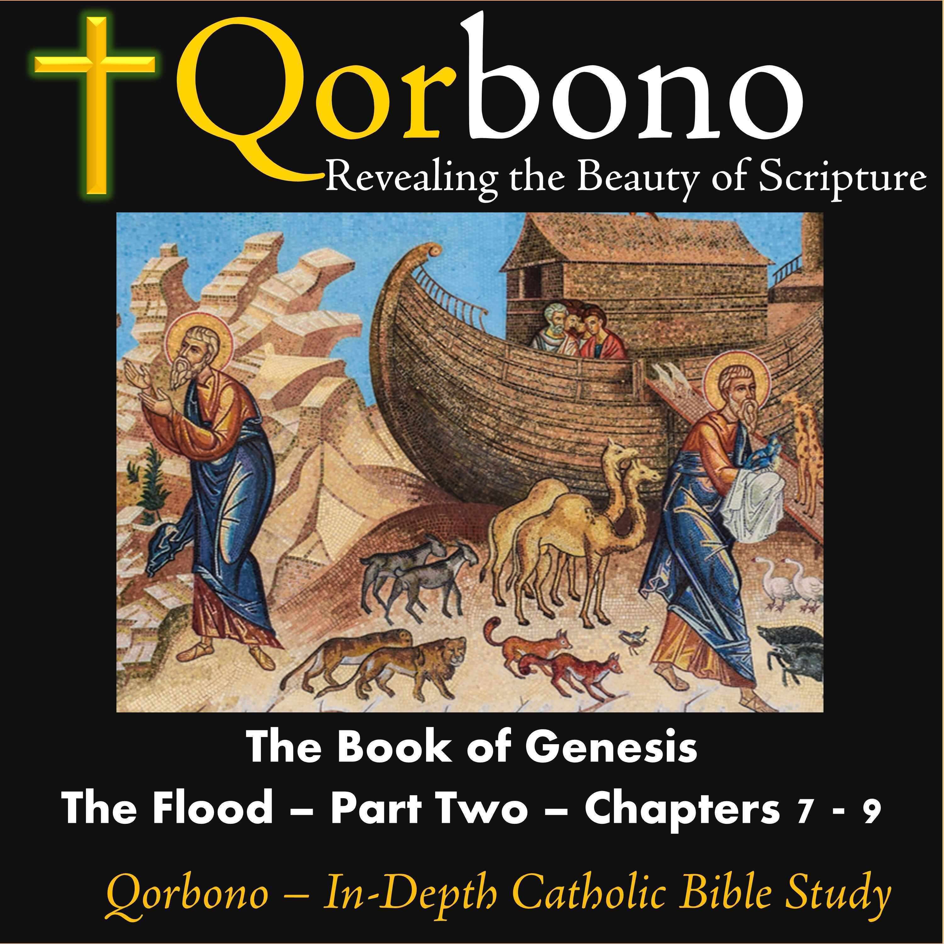 The Book of Genesis
