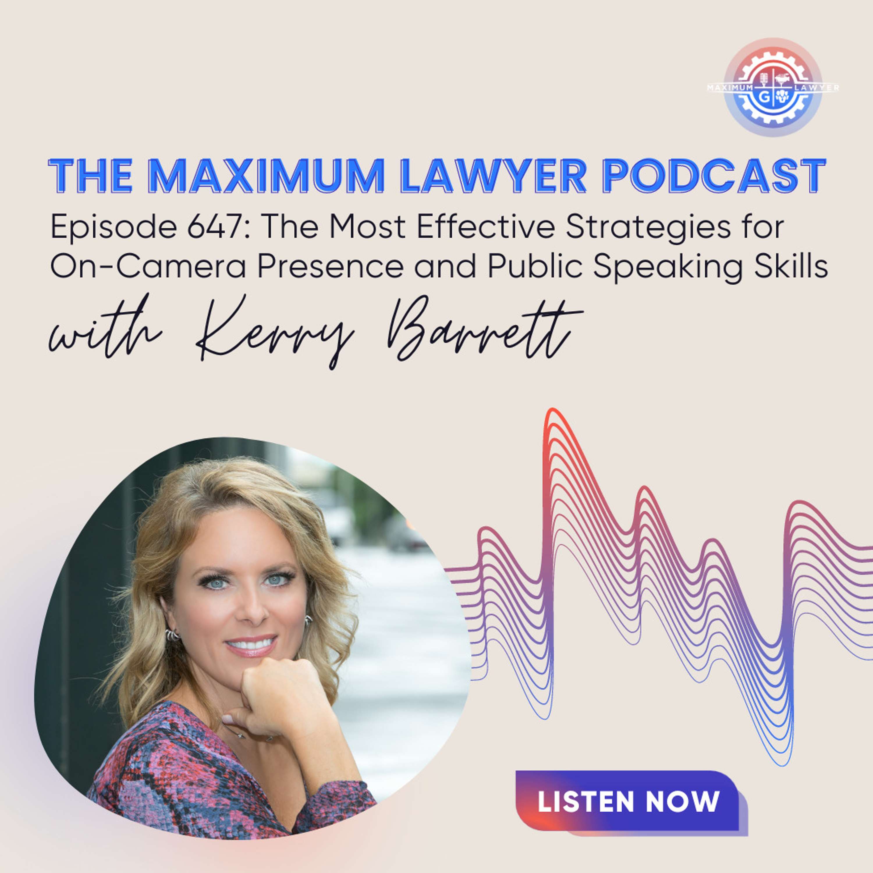 Maximum Lawyer