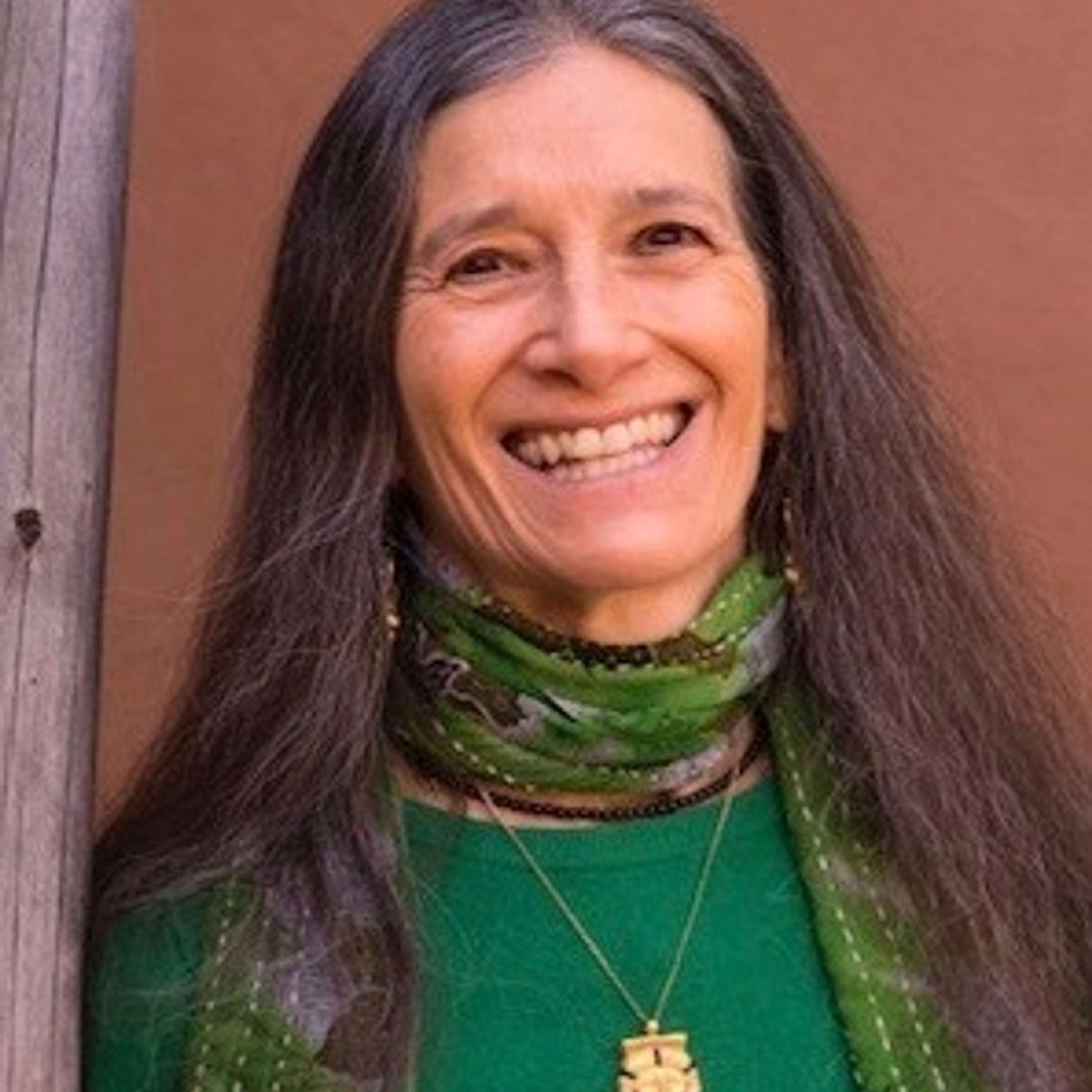 Sandra Ingerman ~ Healing with Spiritual Light