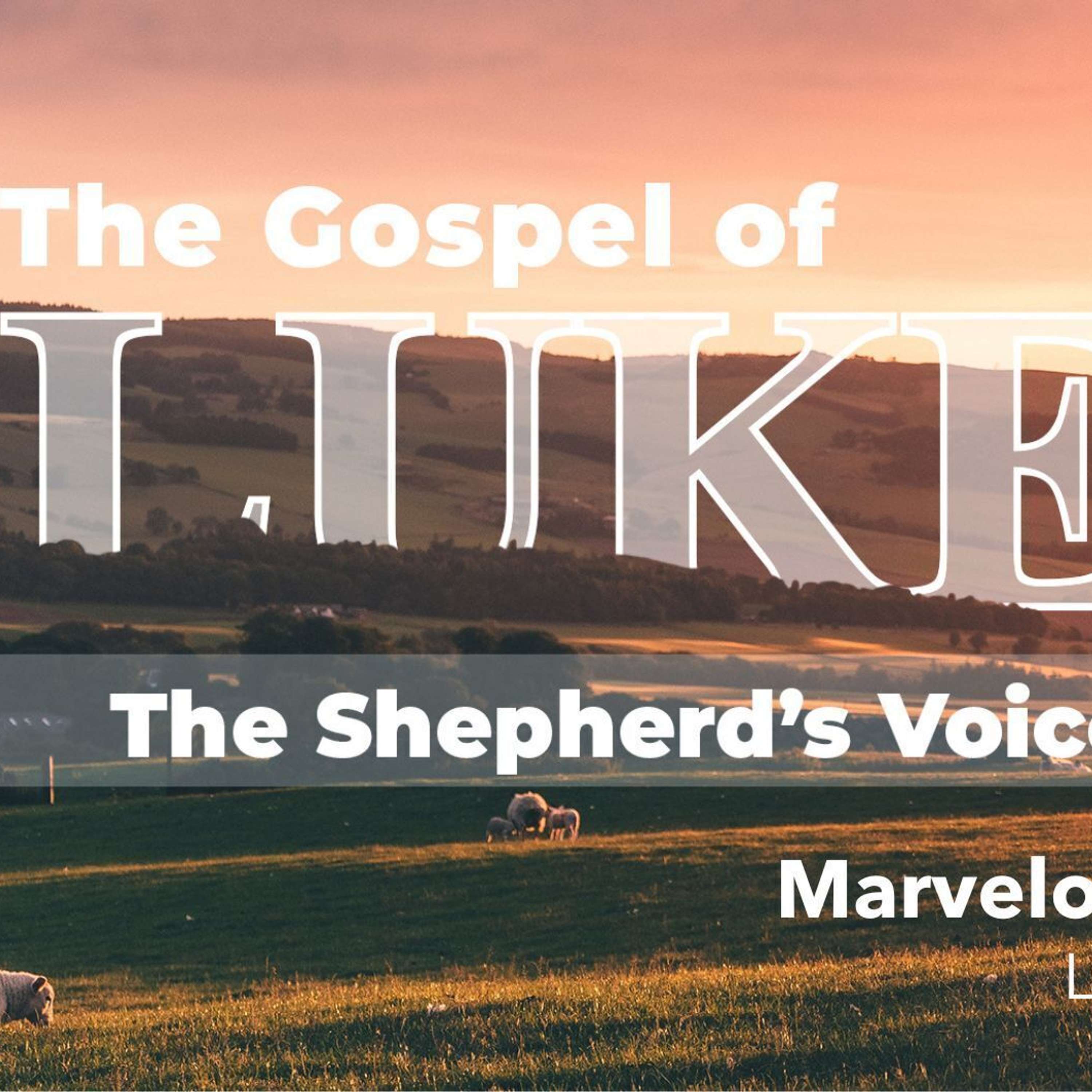 Marvelous Faith