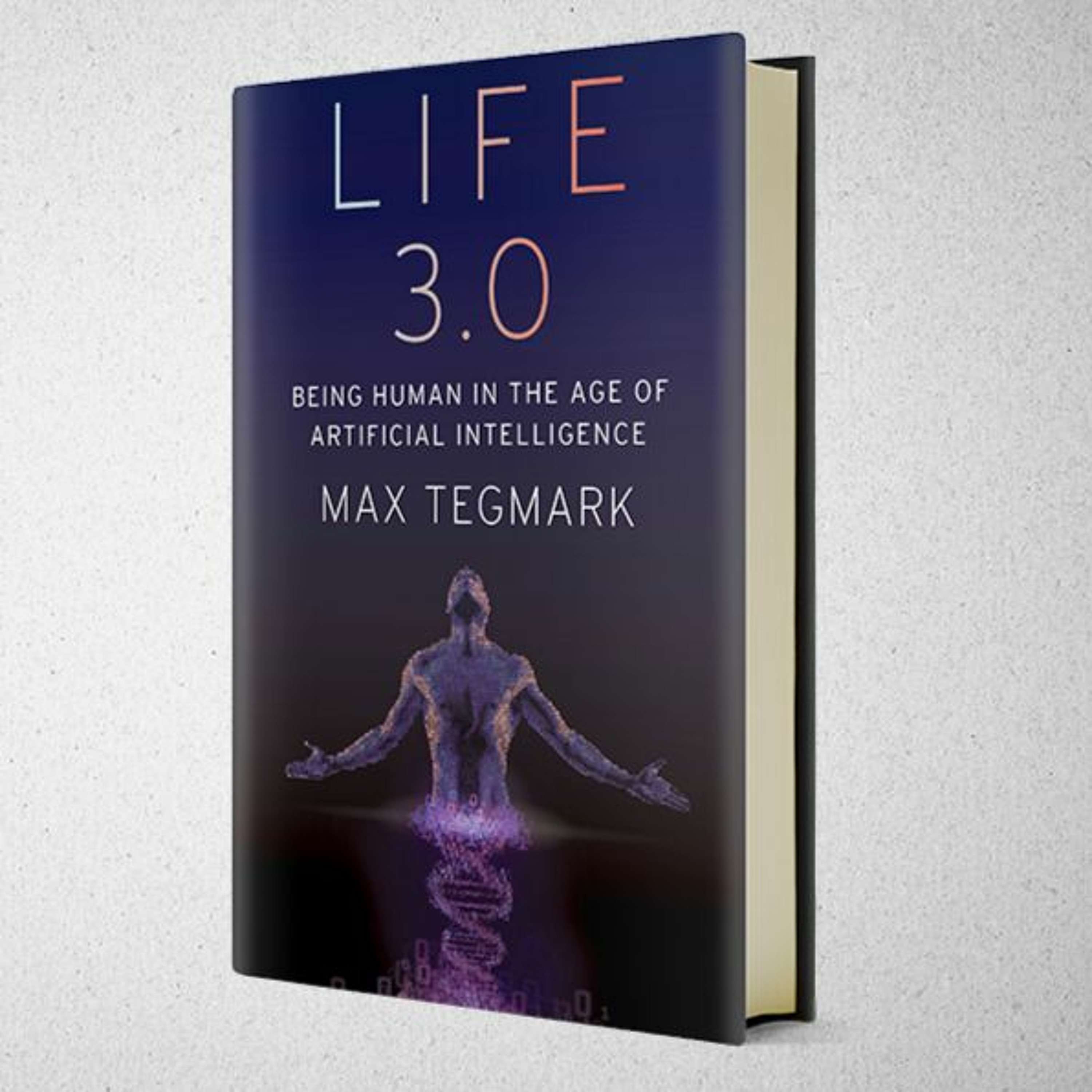 Future of Life Institute Podcast