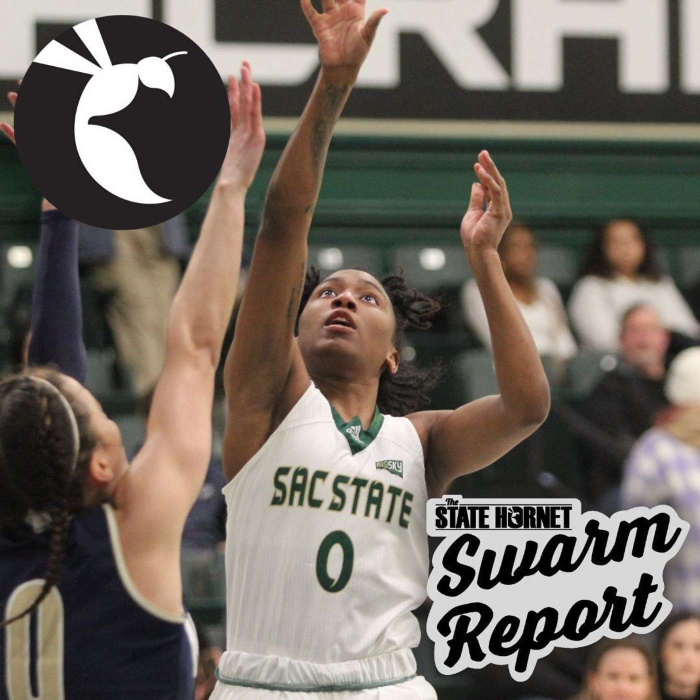 Swarm Report Week 6: A final look at women’s basketball Swarm Report Week 6: A final look at women’s basketball
