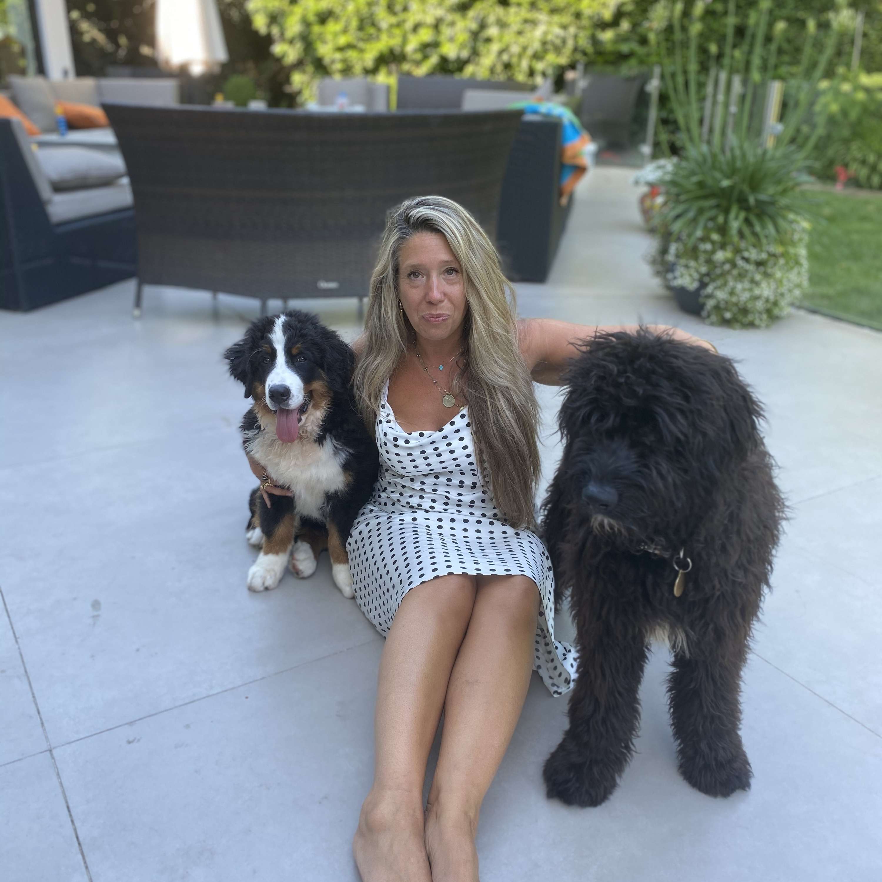 In Conversation with My Owner