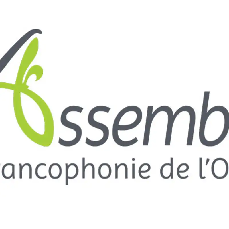 Retour sur l’ultime rapport du commissaire Boileau avec Carol Jolin, president de l'AFO