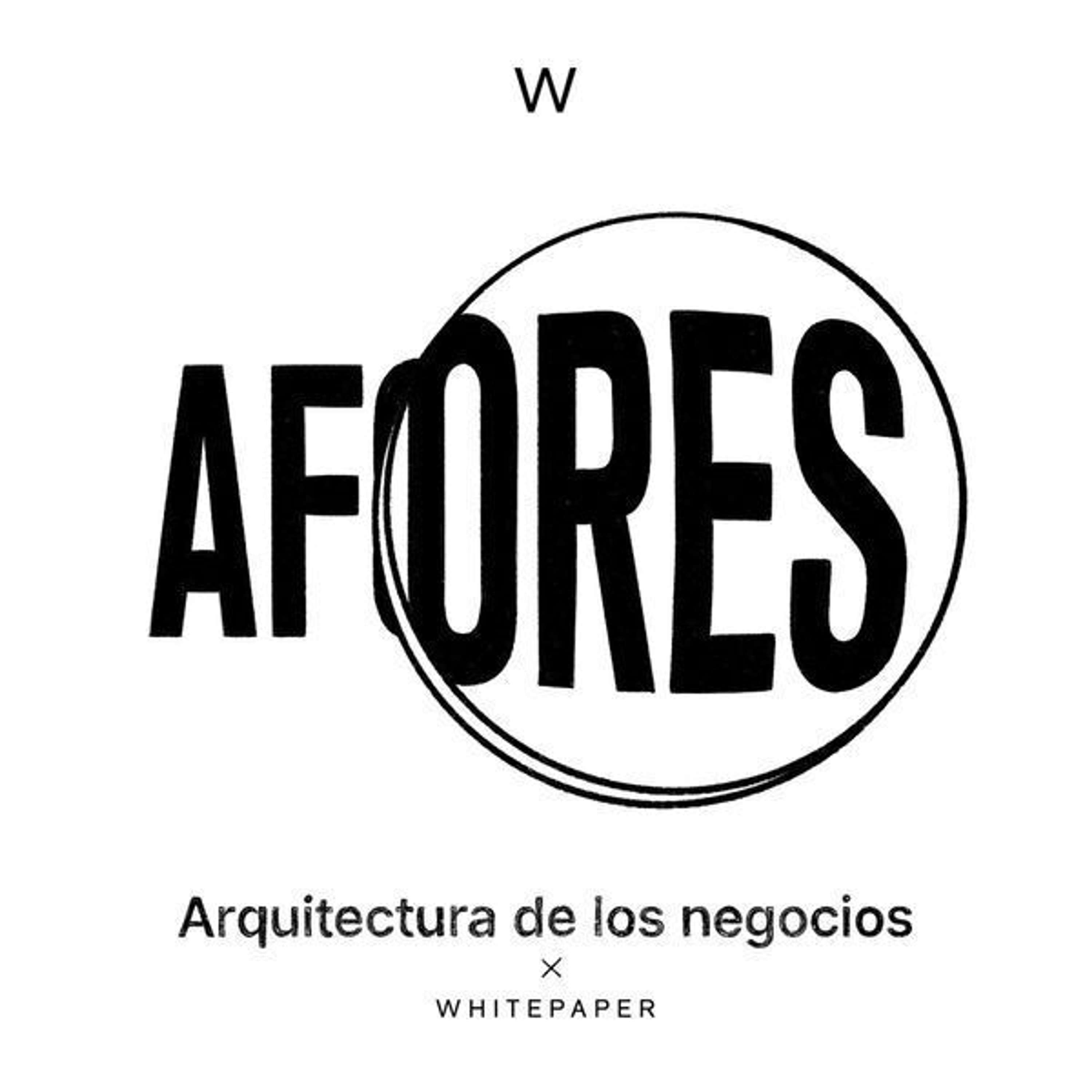 77. Afores