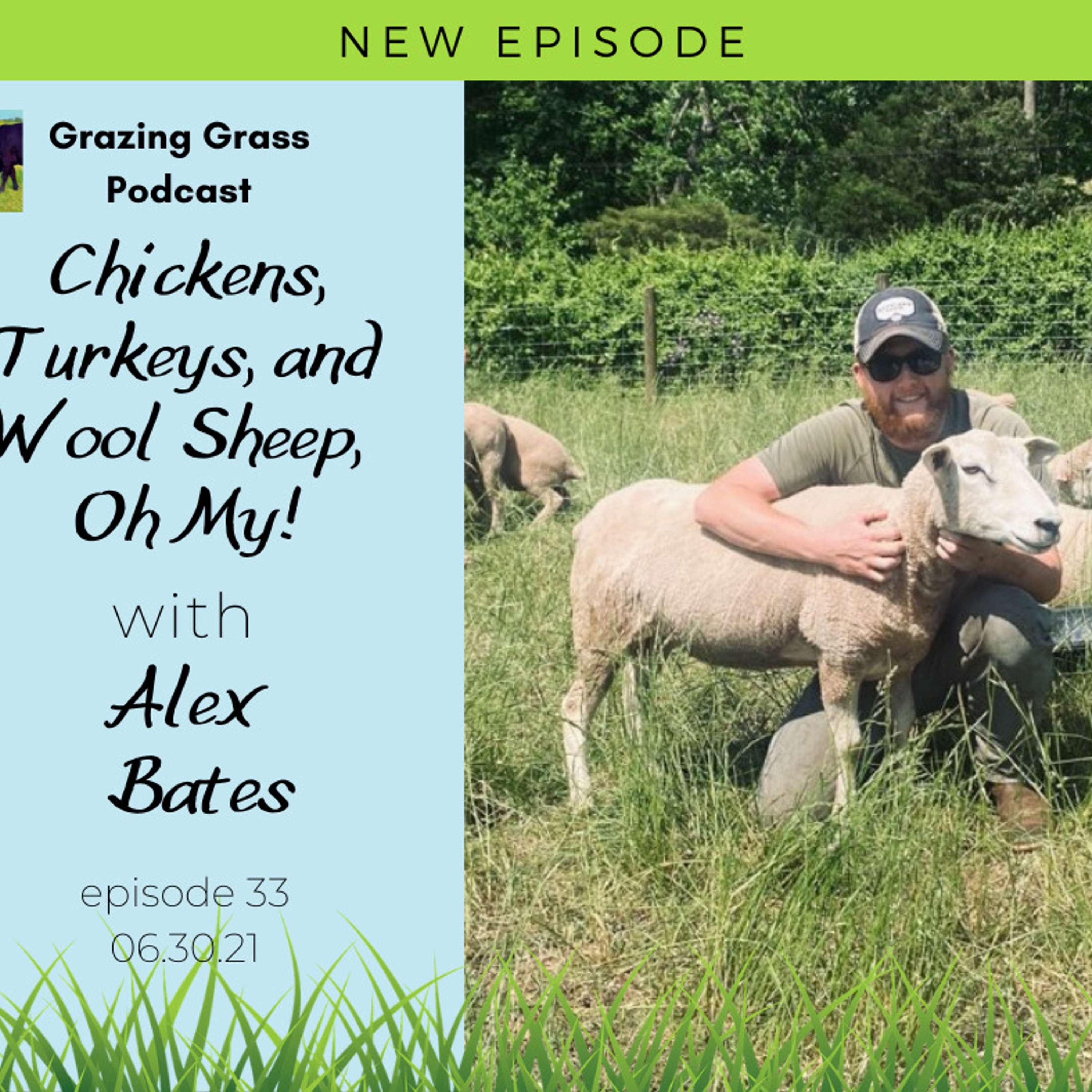 e33. Alex Bates - Chickens, Turkeys, and Wool Sheep, Oh My