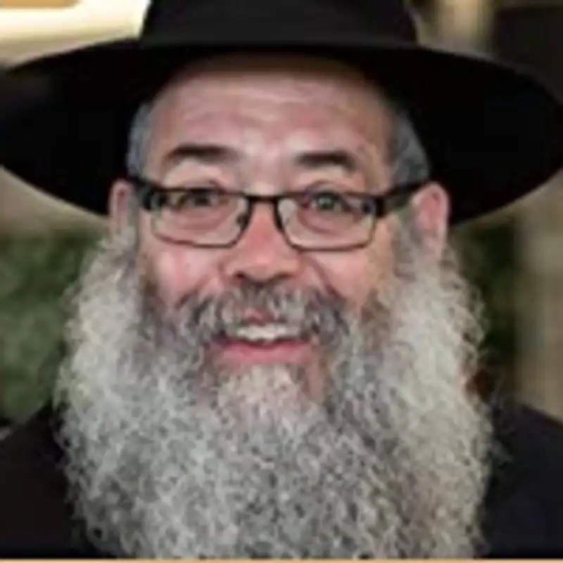 Dvar Malchus: Rabbi Chaim Wolosow, Classic Shiur - Sicha 3, Part 2