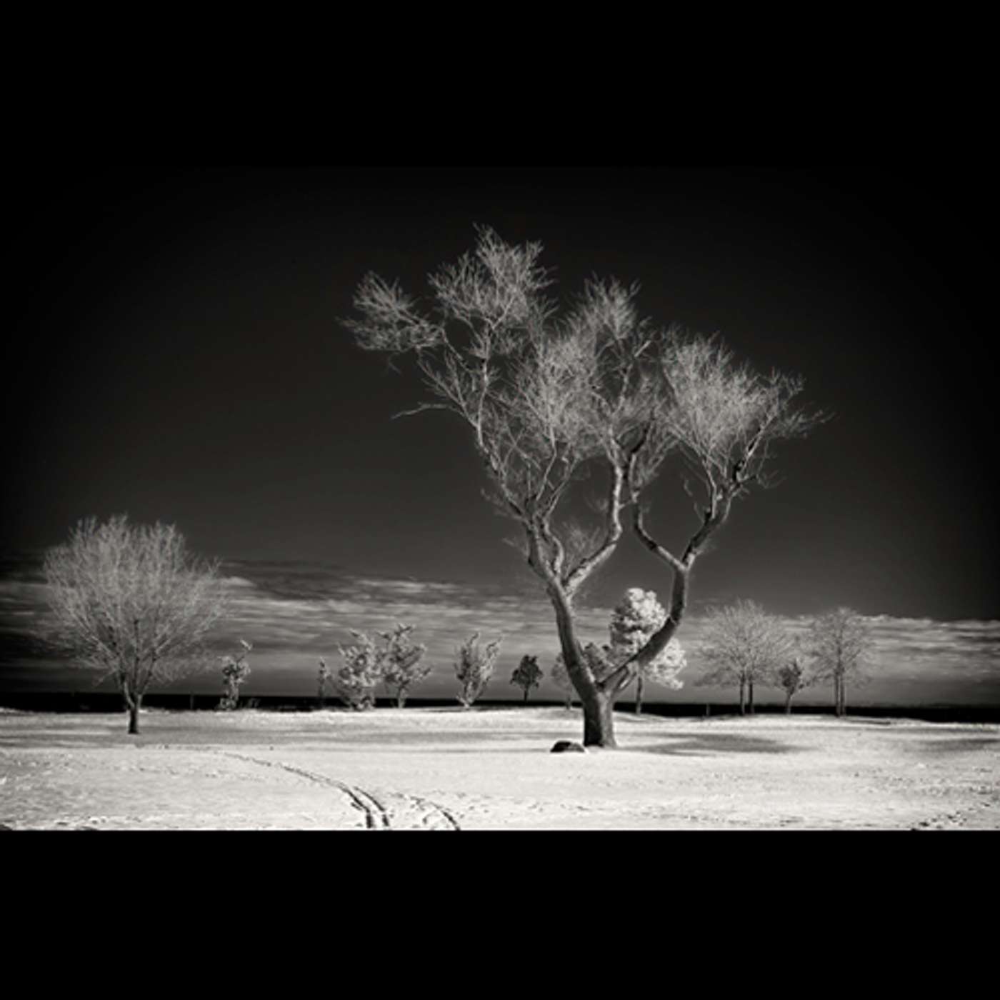 Ralph Baskin Photographer/WPKN staffer The experience of going solar on your house Ralph Baskin Photographer/WPKN staffer The experience of going solar on your house