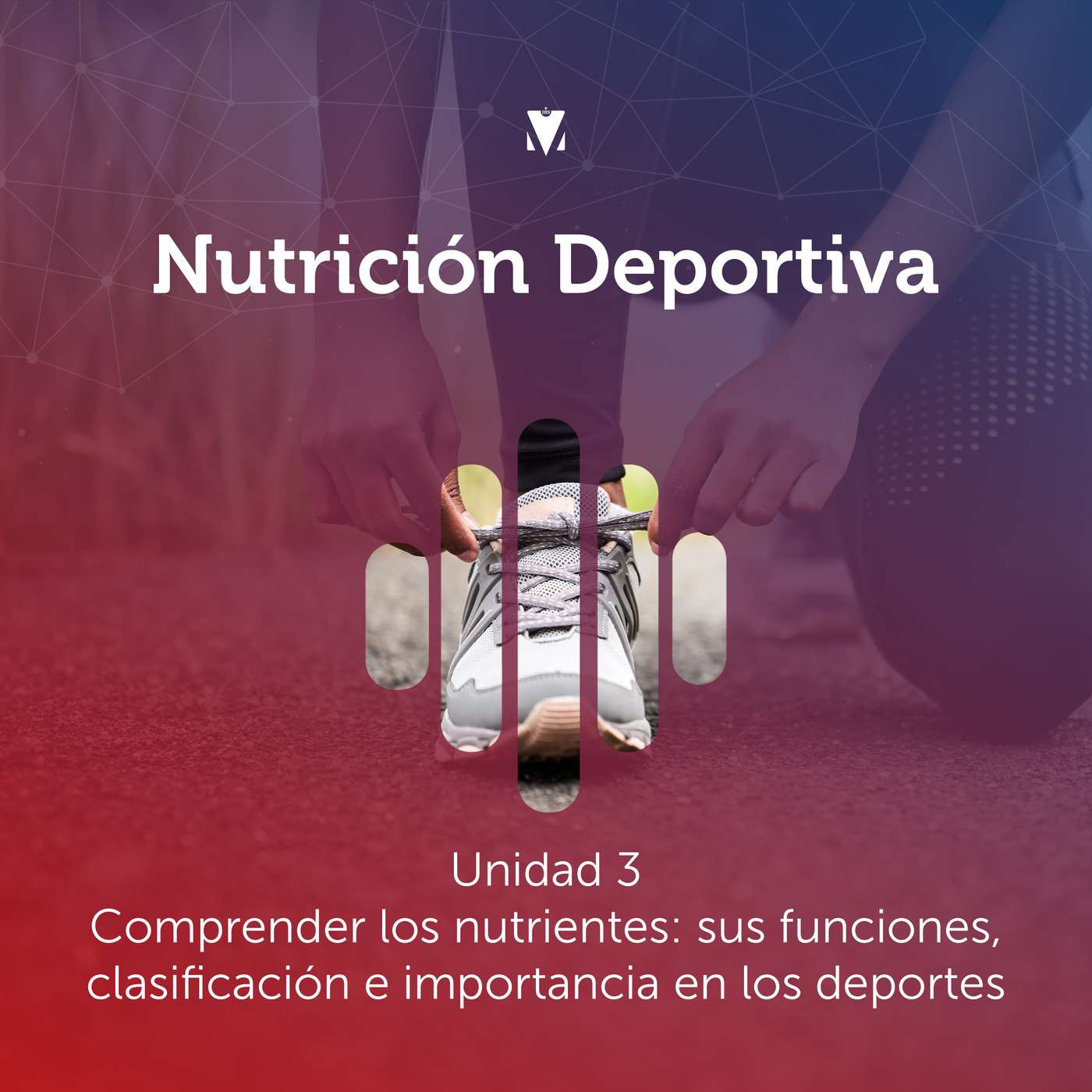 3 - NUTRICIÓN DEPORTIVA: Unidad 3 - Comprender los nutrientes: sus funciones, clasificación e importancia en los deportes