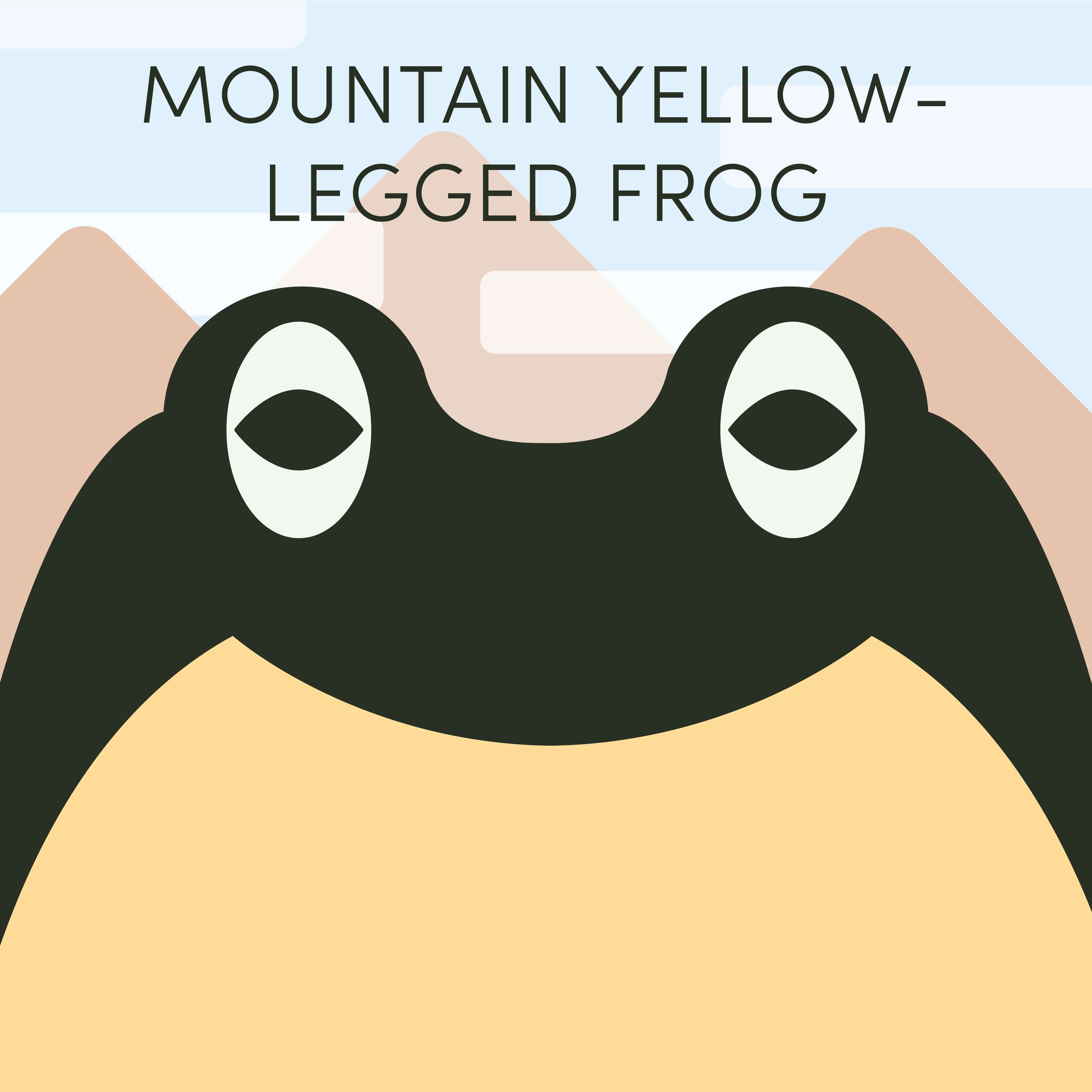 Mountain Yellow-Legged Frog | Week of February 27th