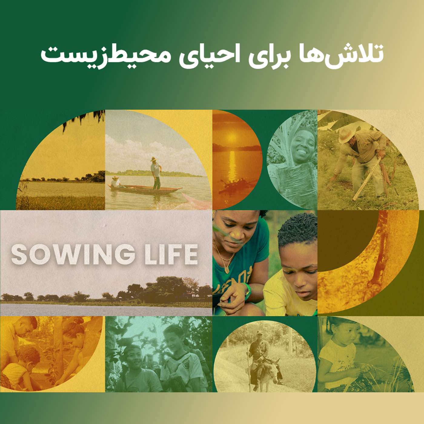 کلمبیا: فیلم جدیدی درباره تلاش‌ برای احیای محیط‌زیست