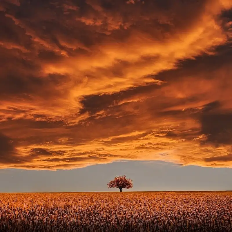 Mini - Why Are Sunsets Red?
