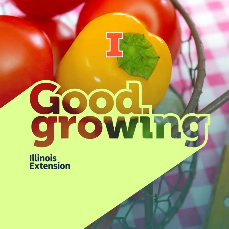 Ep. 109 Growing Tomatoes & Peppers with Nick Frillman | #GoodGrowing