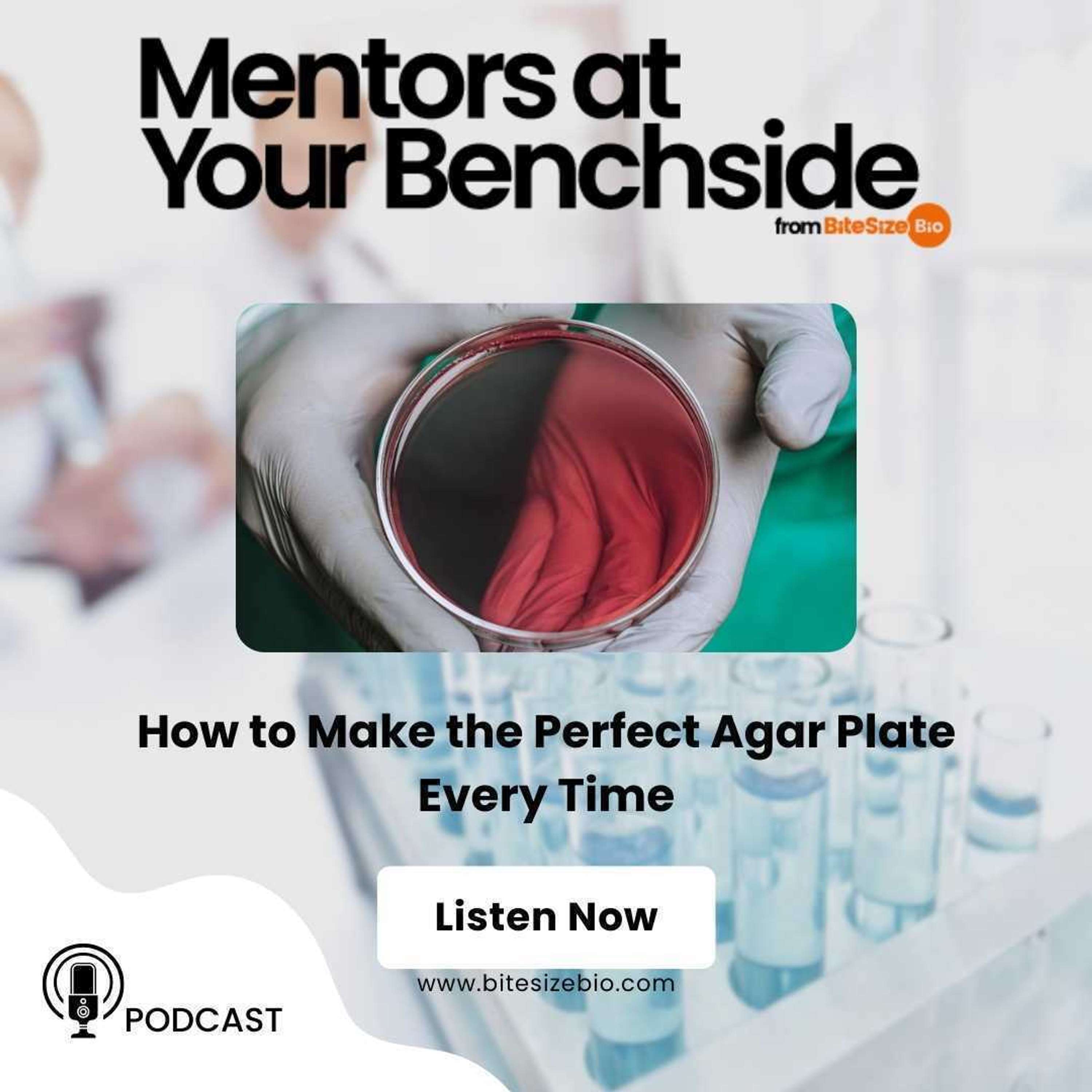 Mentors at Your Benchside