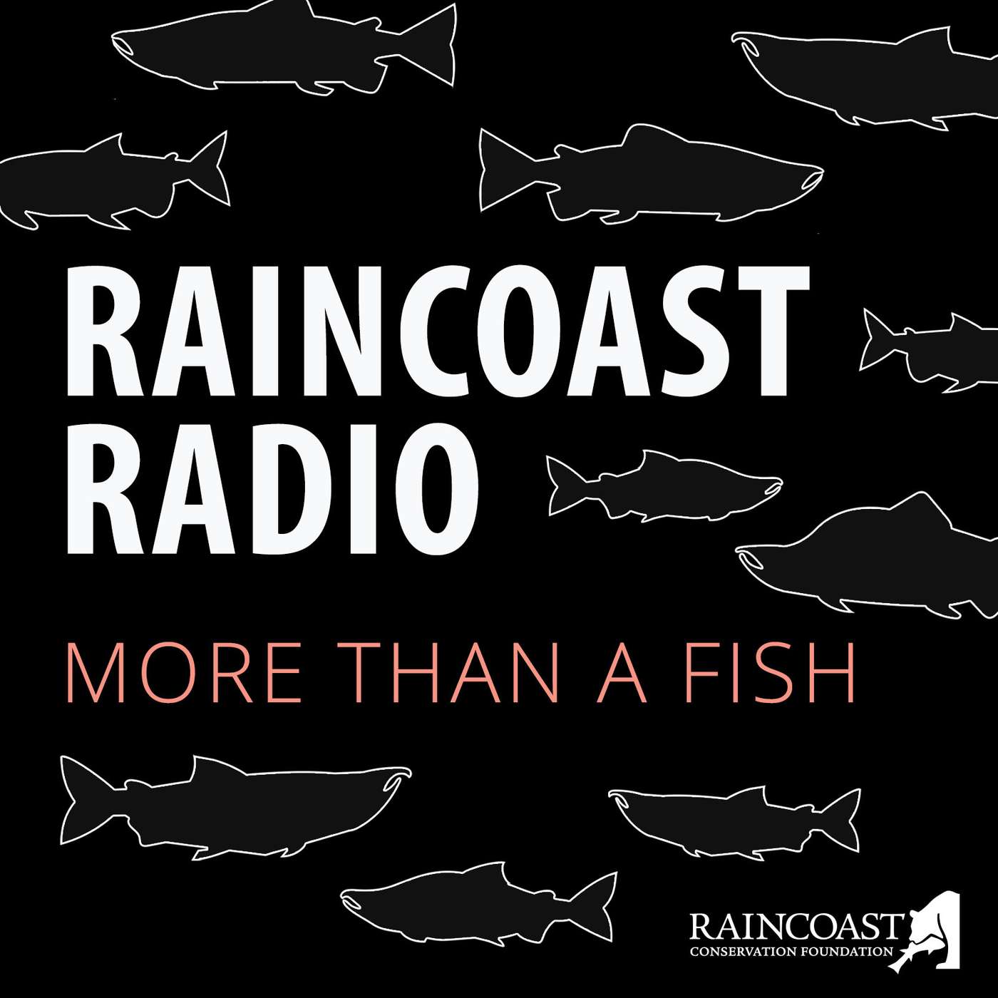 Introducing More than a fish