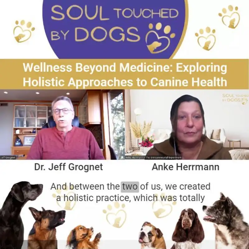 Dr. Jeff Grognet - Wellness Beyond Medicine: Exploring Holistic Approaches to Canine Health