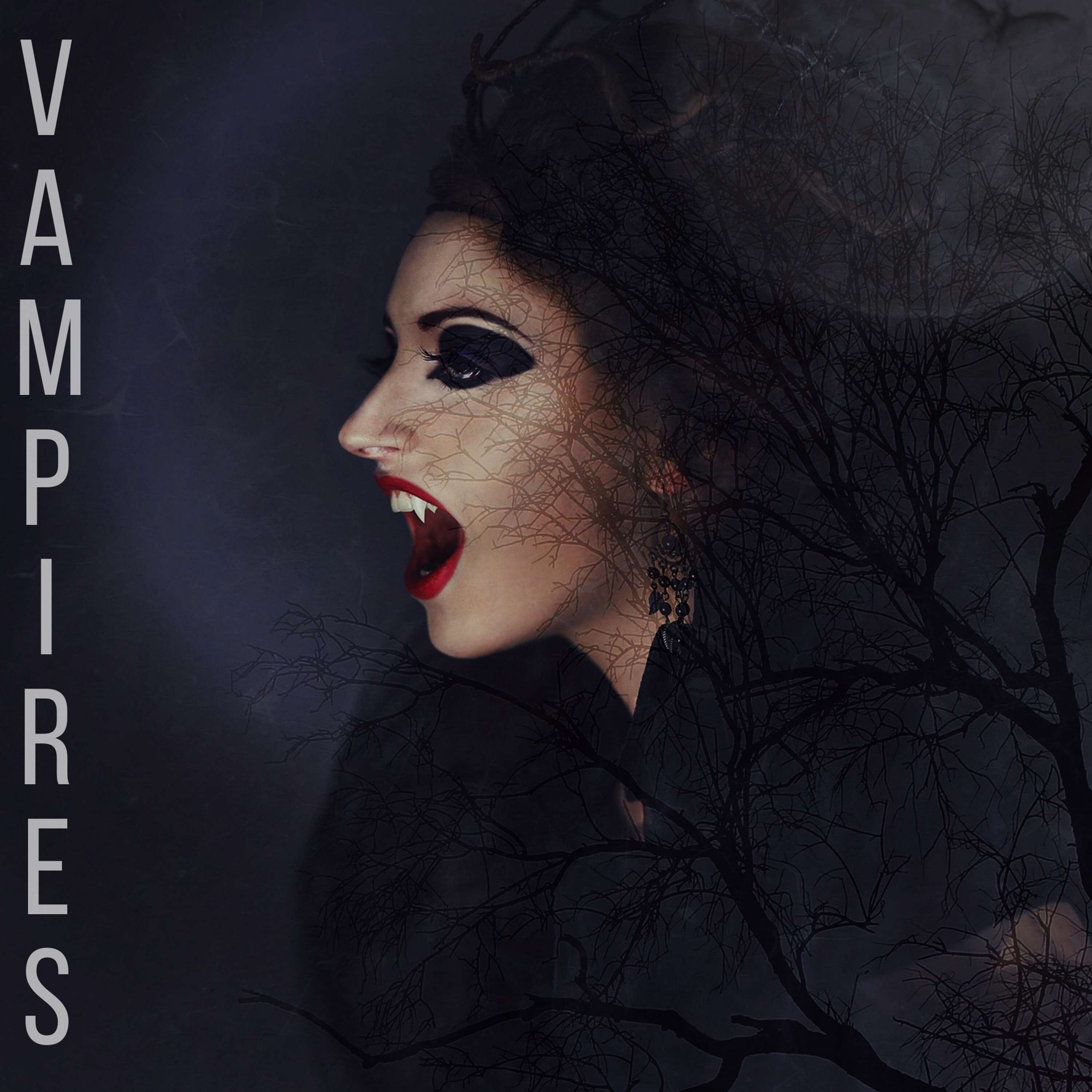 Bonus - 6: Vampires