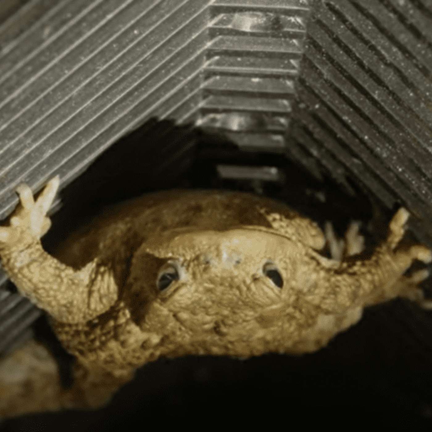 Pad uit de Put – met Raymond Creemers