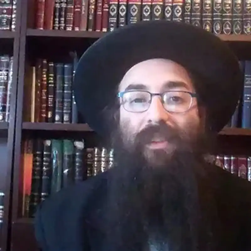 Rabbi Sholom Zirkind, In-Depth Shiur - Sicha 1, Part 2