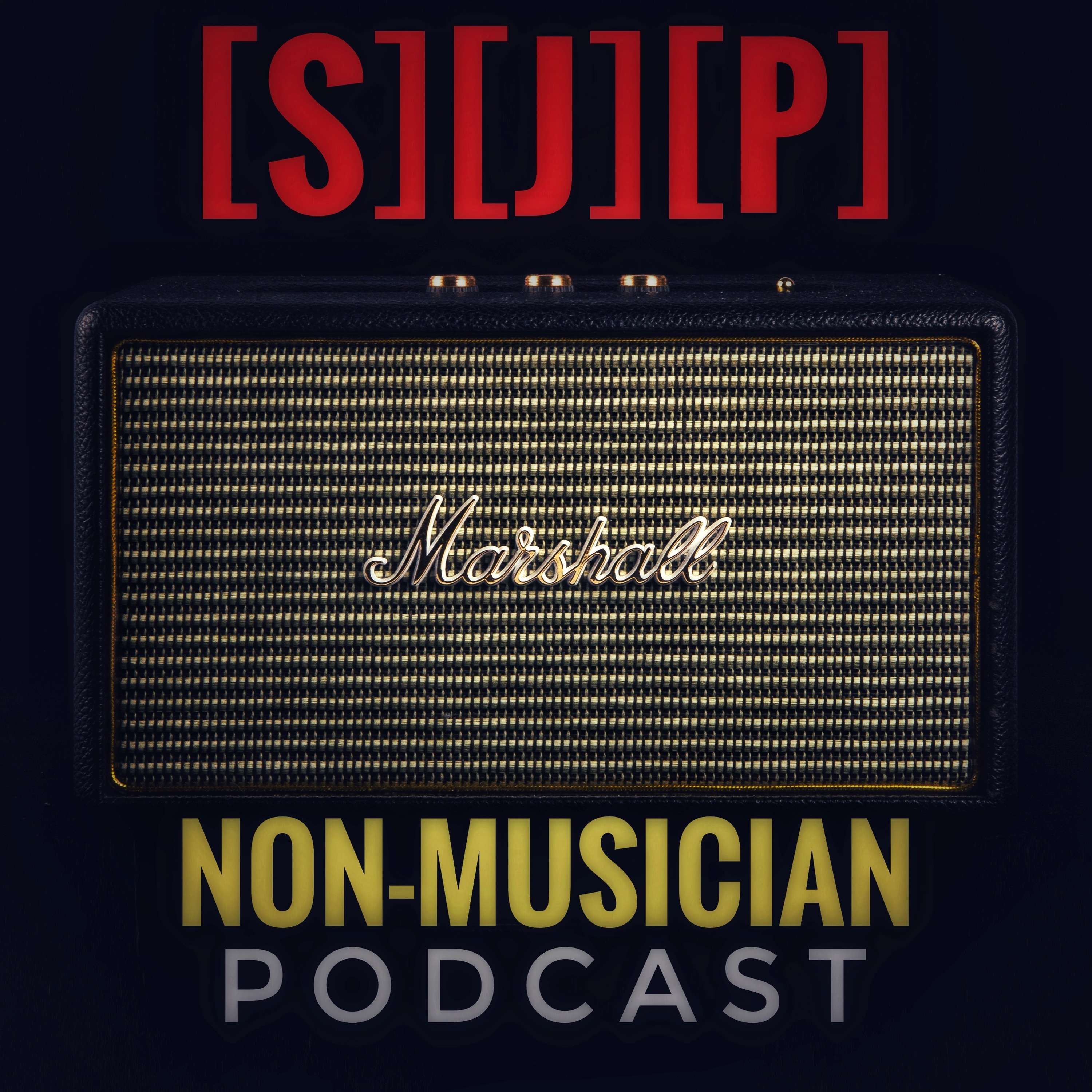 [S][J][P] | Non-Musician 
