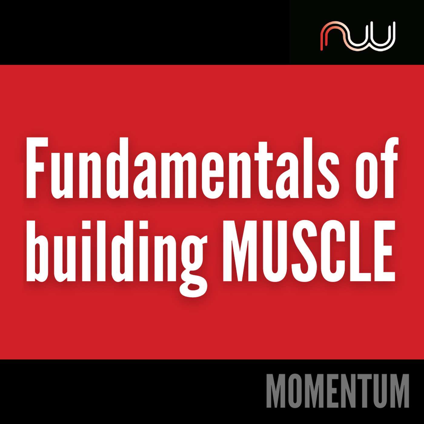 Day 51 - The Fundamentals of Building Muscle episode artwork
