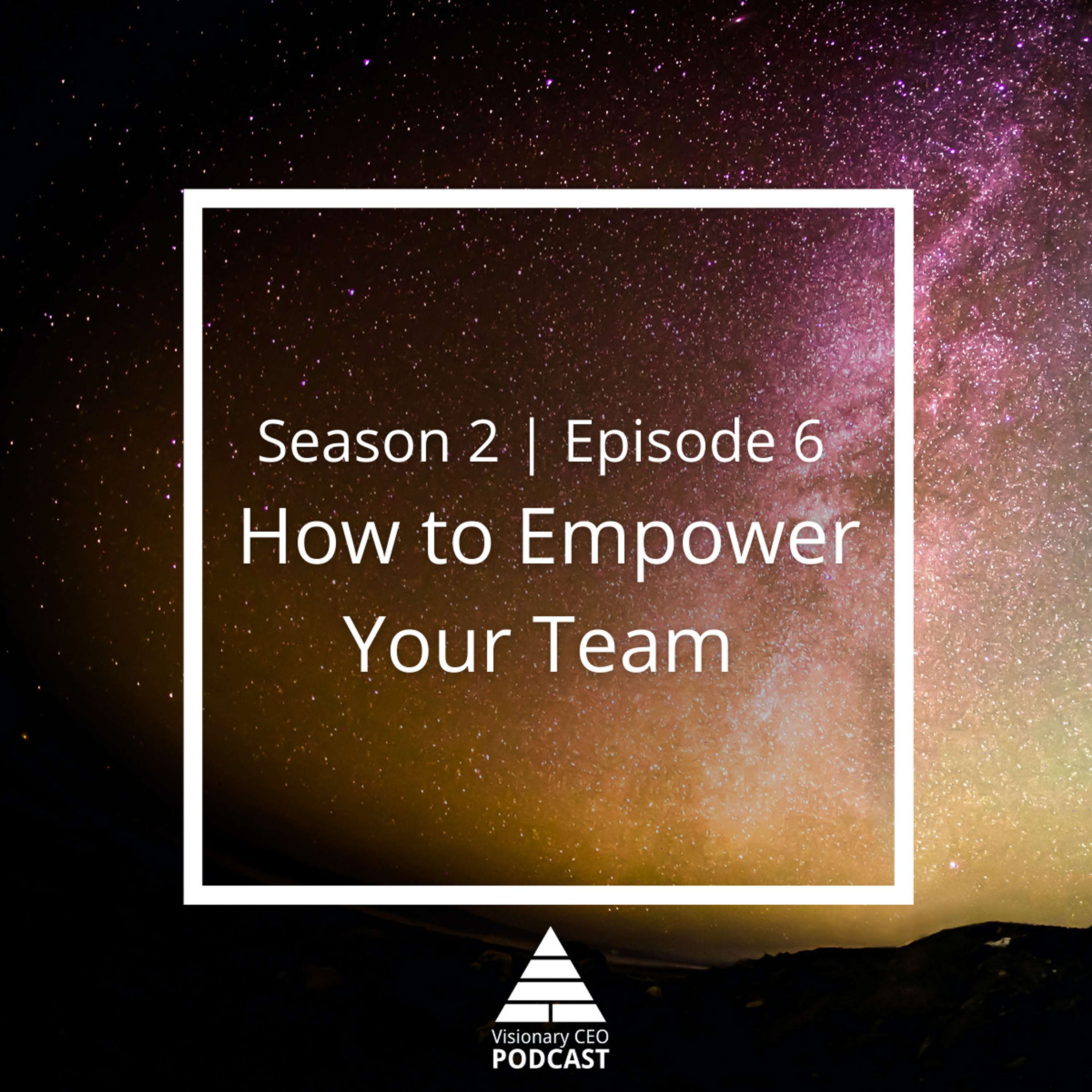 Visionary CEO Podcast