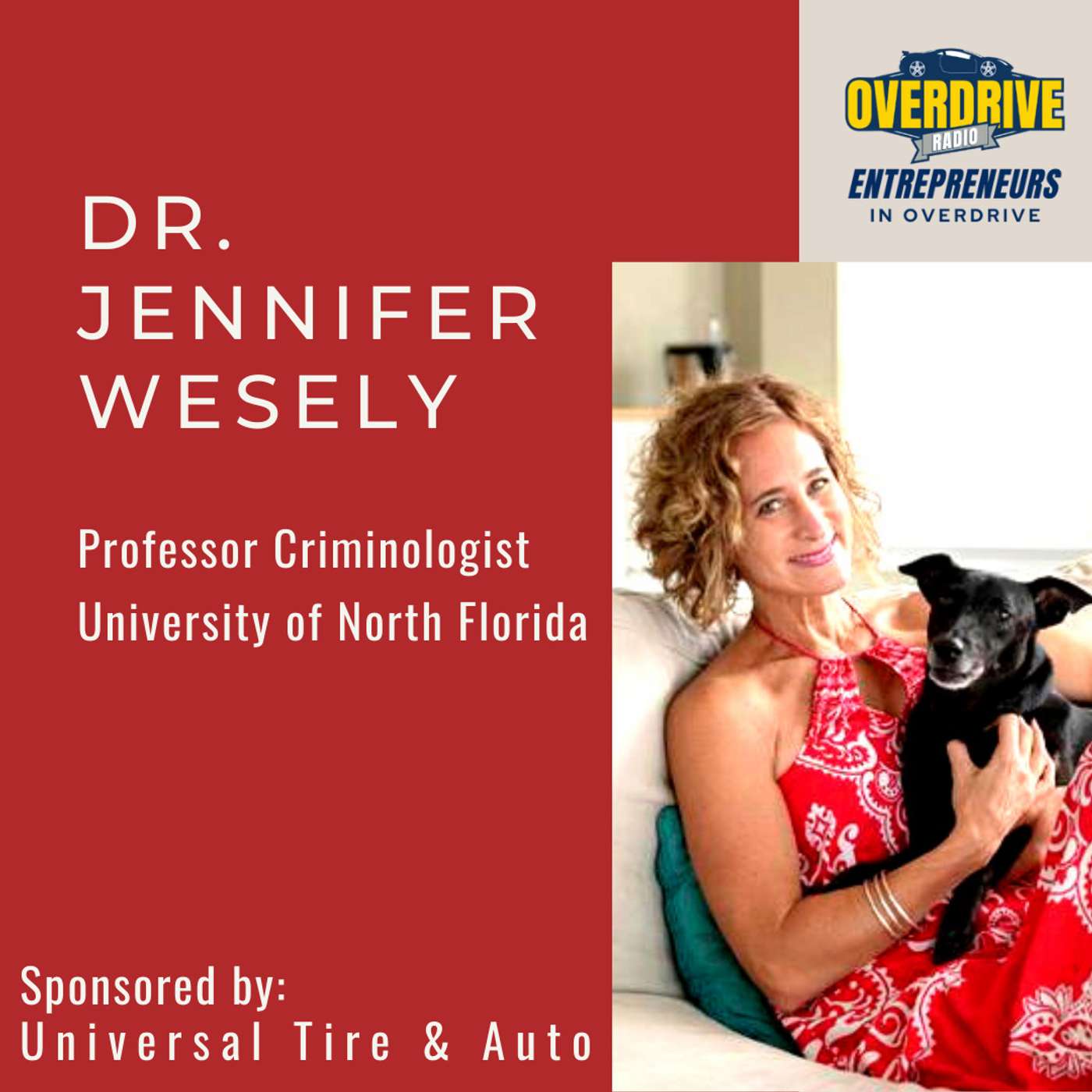 Interview: Dr. Jennifer Wesely, Professor Criminologist, University of North Florida episode artwork