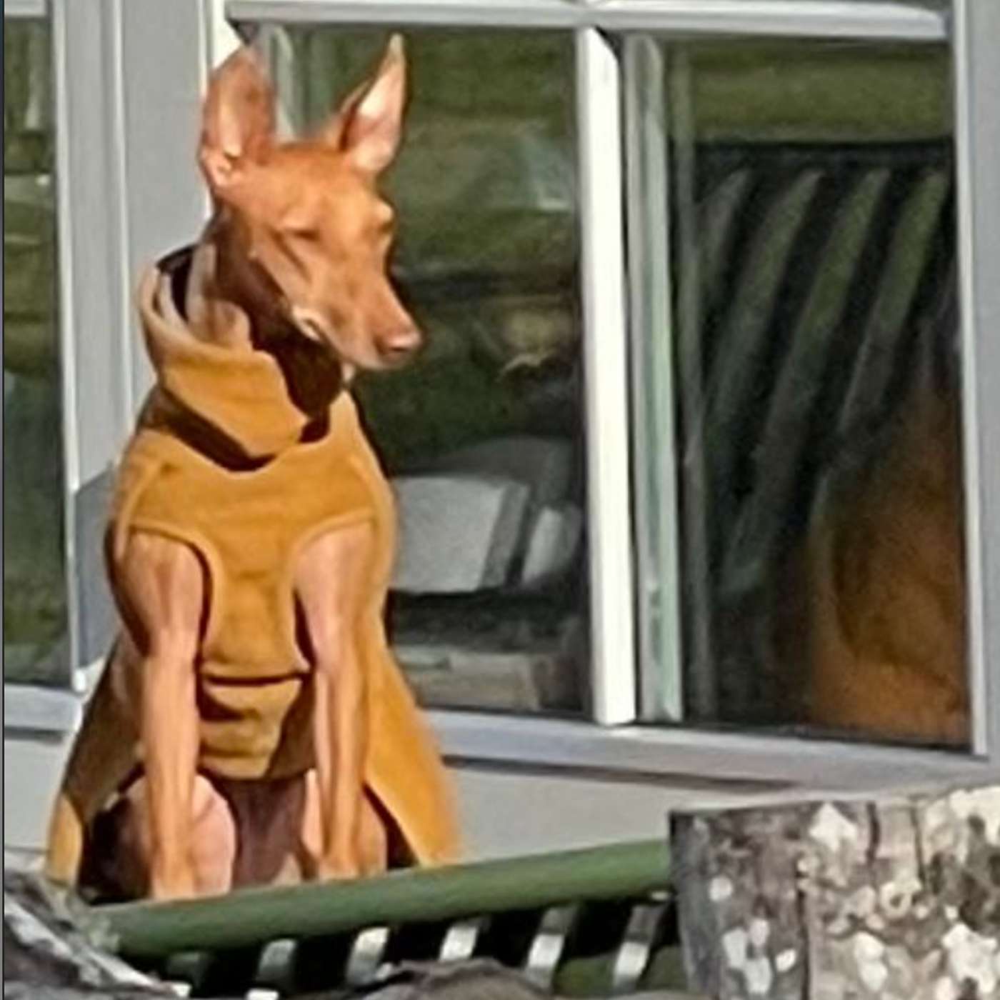 Hommik Rauliga 21.10.25