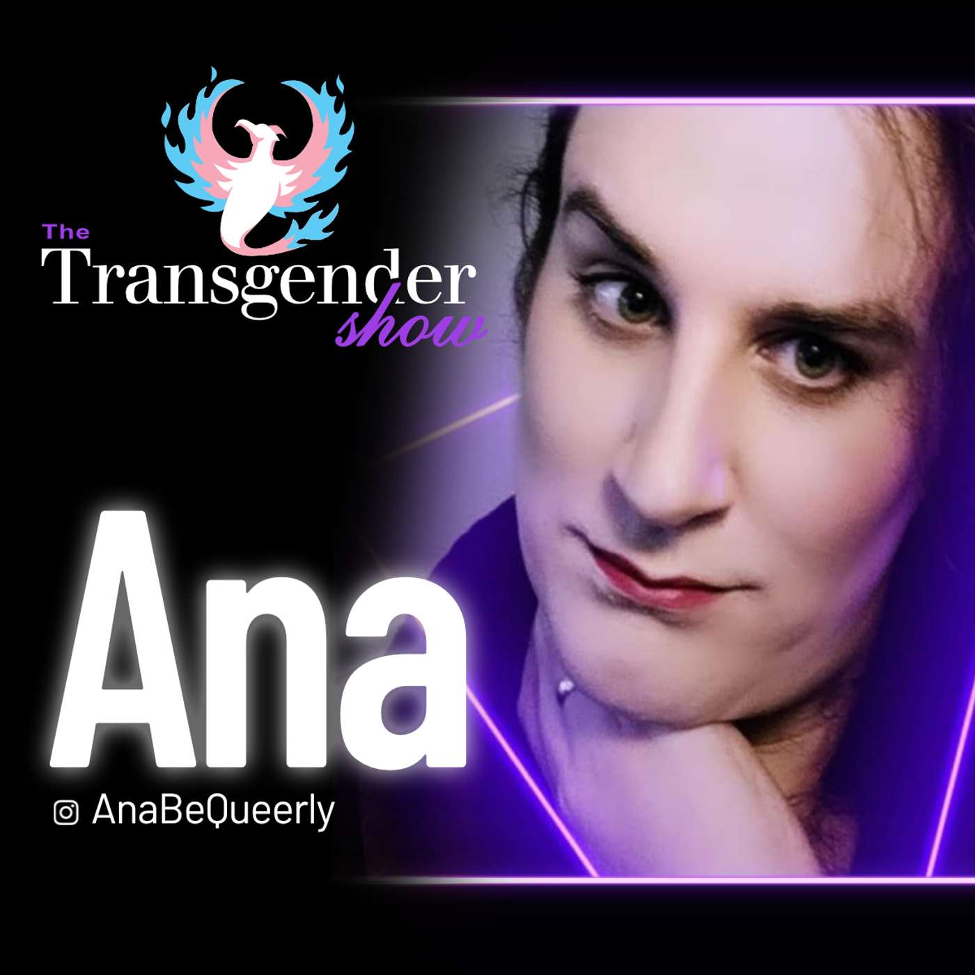The Transgender Show