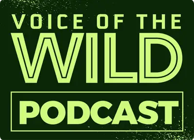 Voice of the Wild