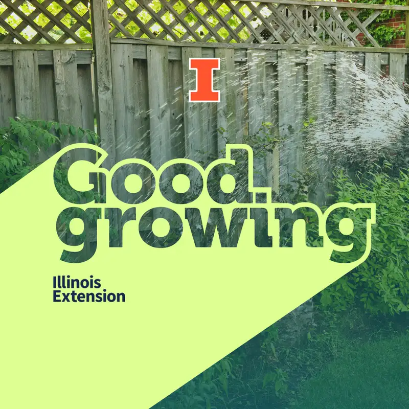 Ep. 152 Creating a water-conscious landscape | #GoodGrowing