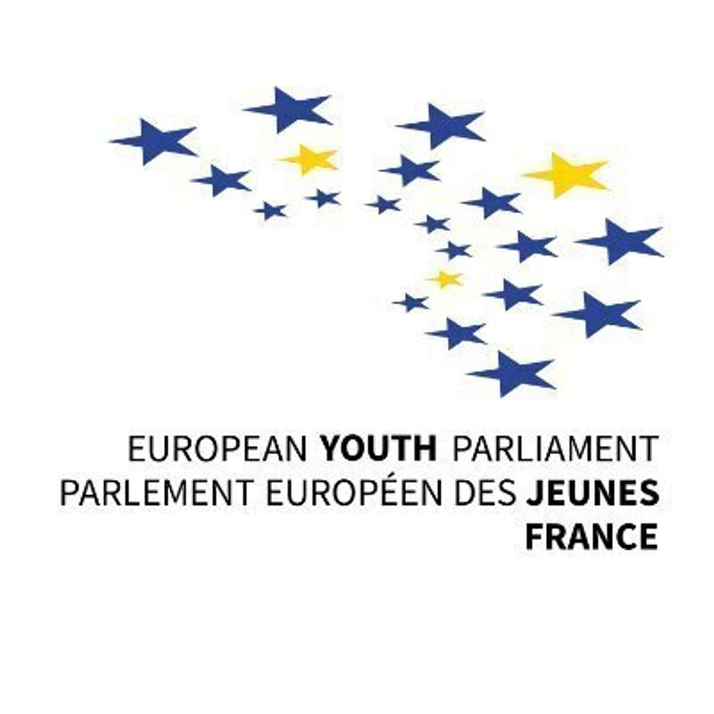 Zoom sur le Parlement Européen des Jeunes Zoom sur le Parlement Européen des Jeunes