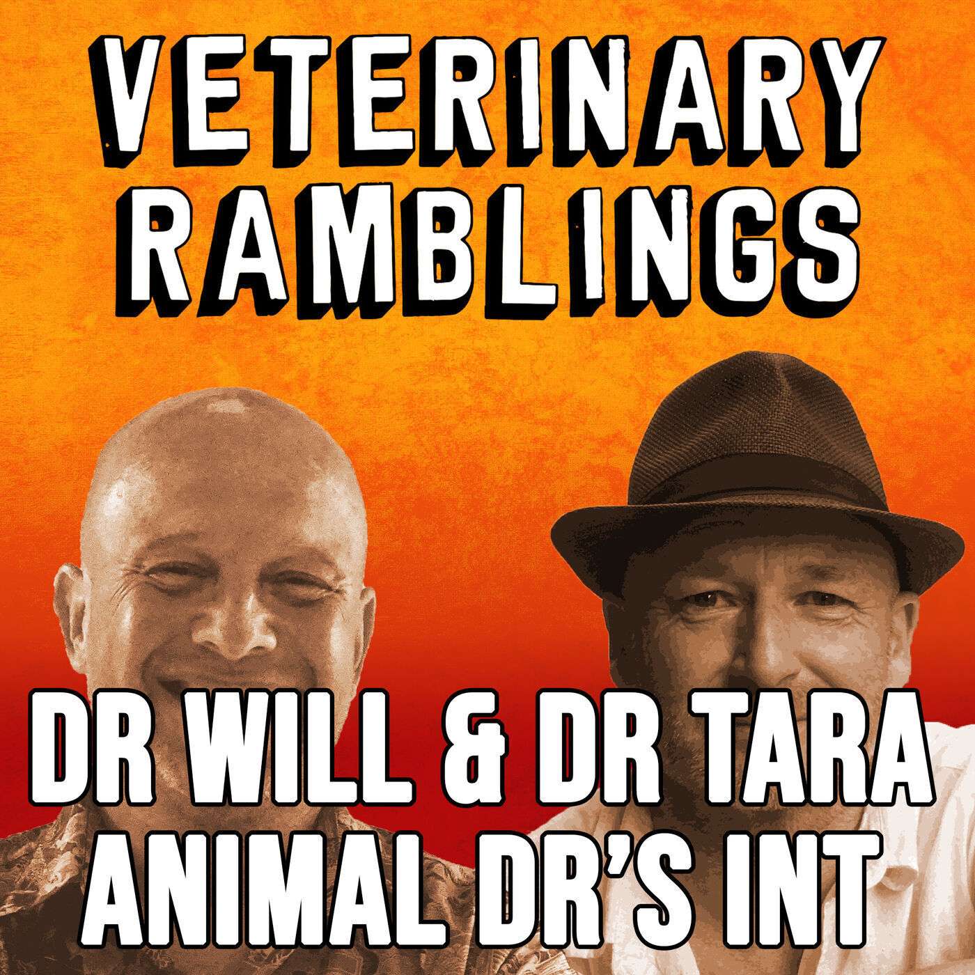 Ep 33: Animal Doctors International With Dr Will & Dr Tara