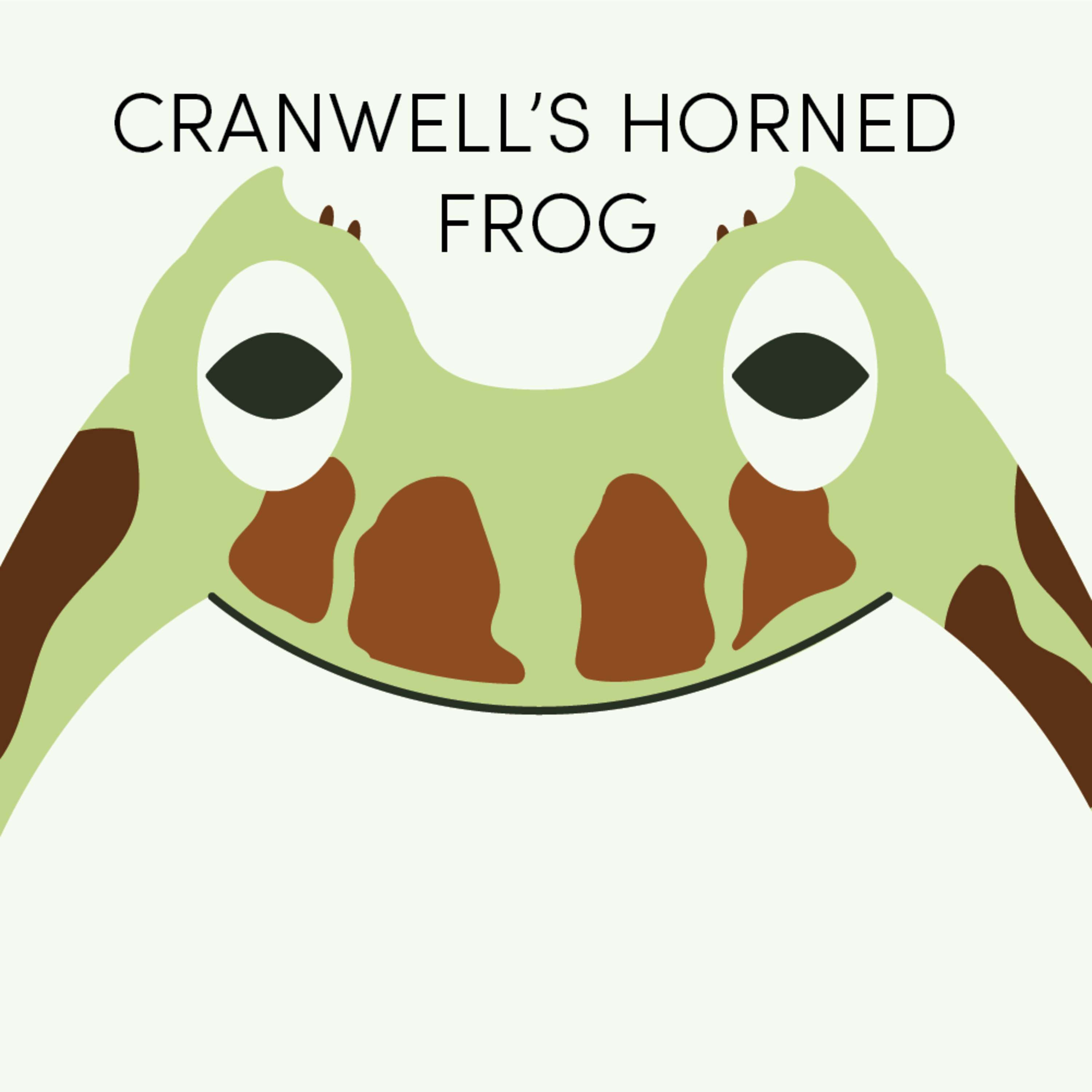 Cranwell's Horned Frog | Week of April 26th