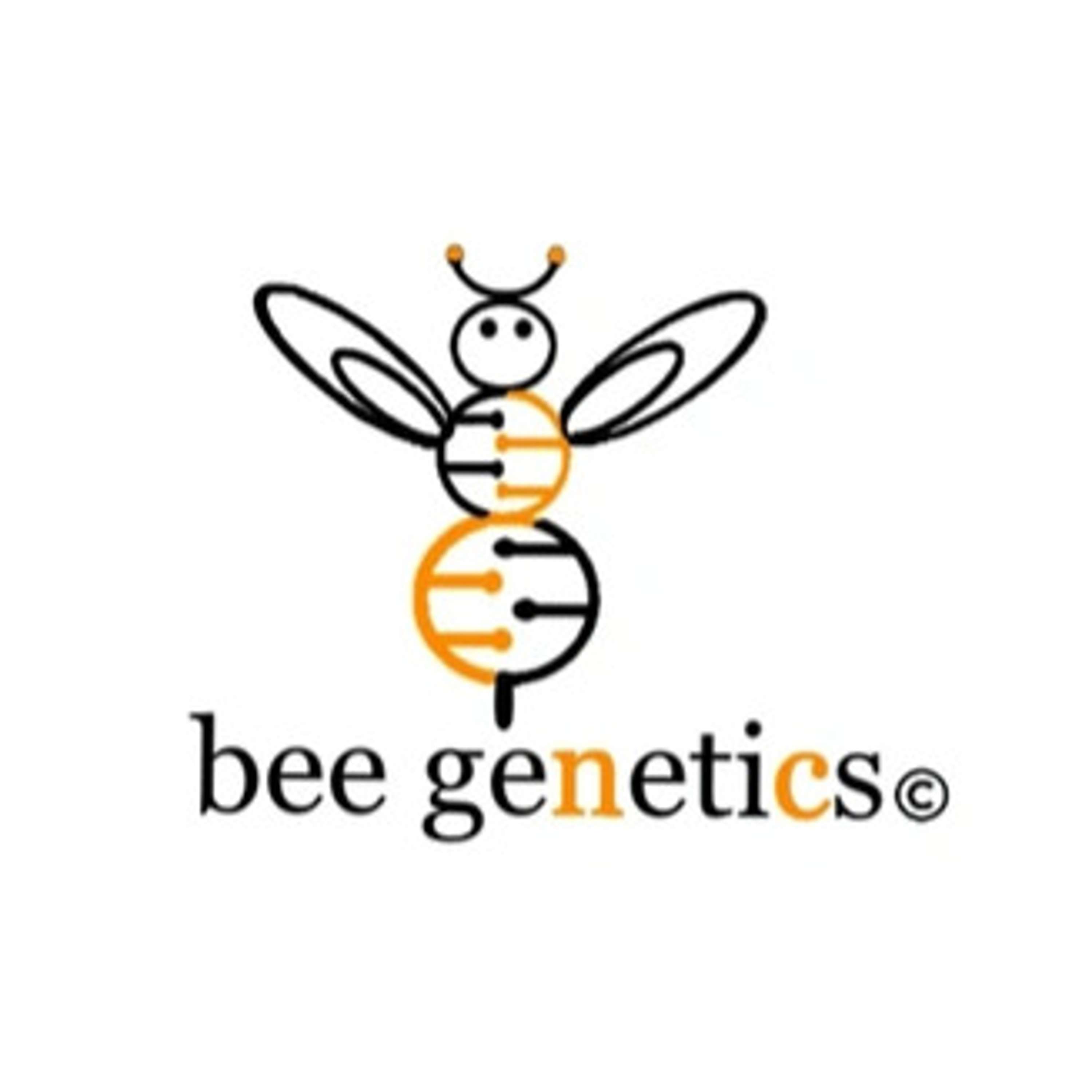 Breeding the Honeybee