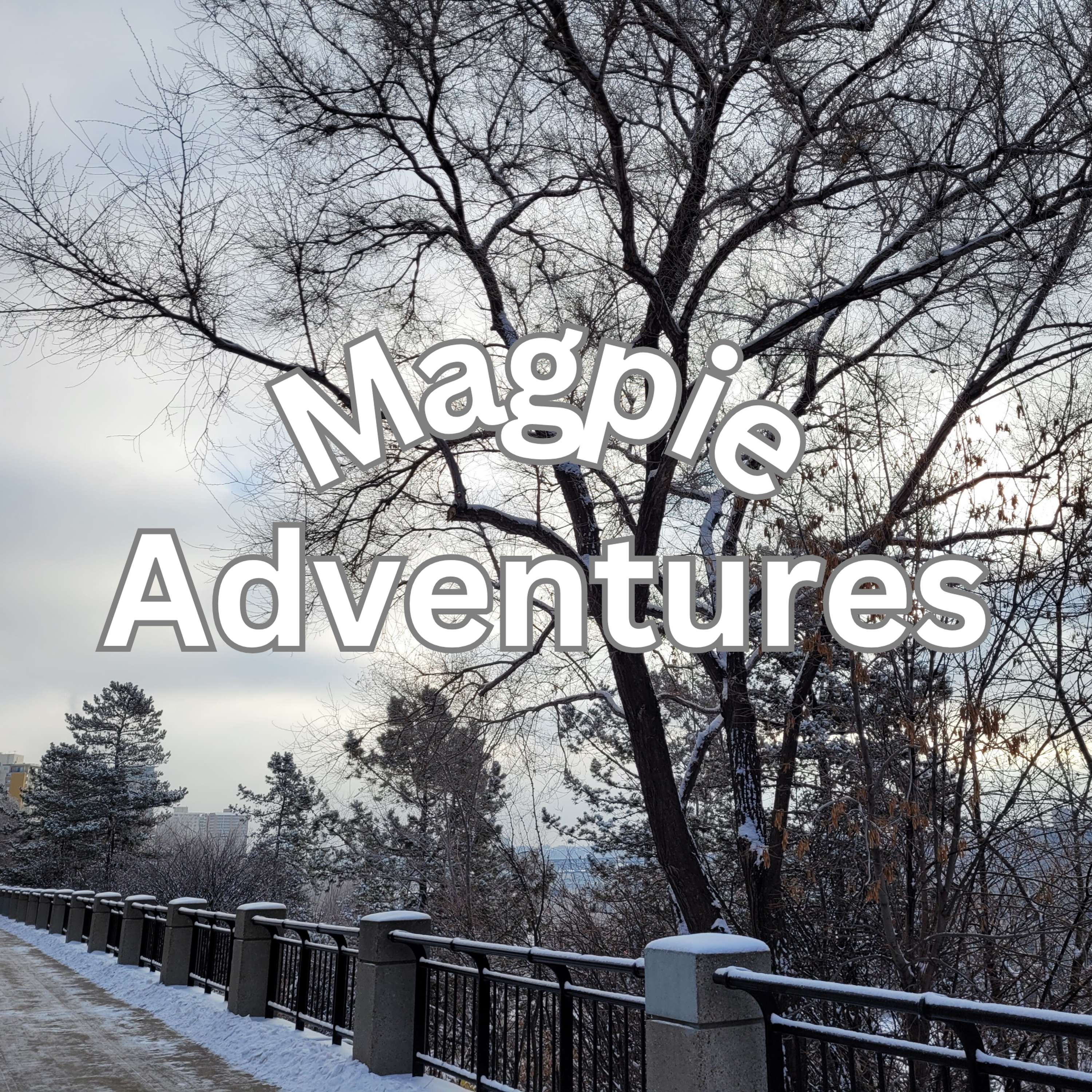 Magpie Adventures