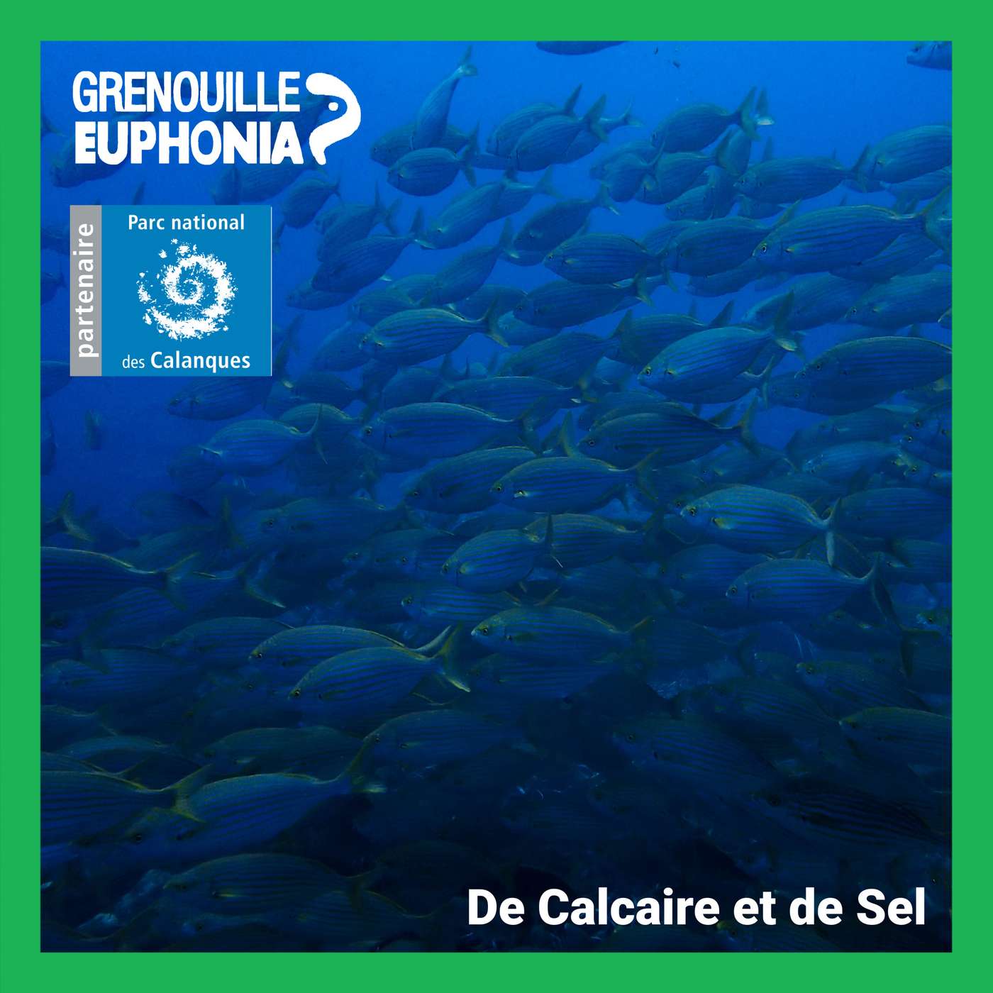 De calcaire et de sel | Observatoire du climat : Pêcheurs et nouvelles espèces De calcaire et de sel | Observatoire du climat : Pêcheurs et nouvelles espèces