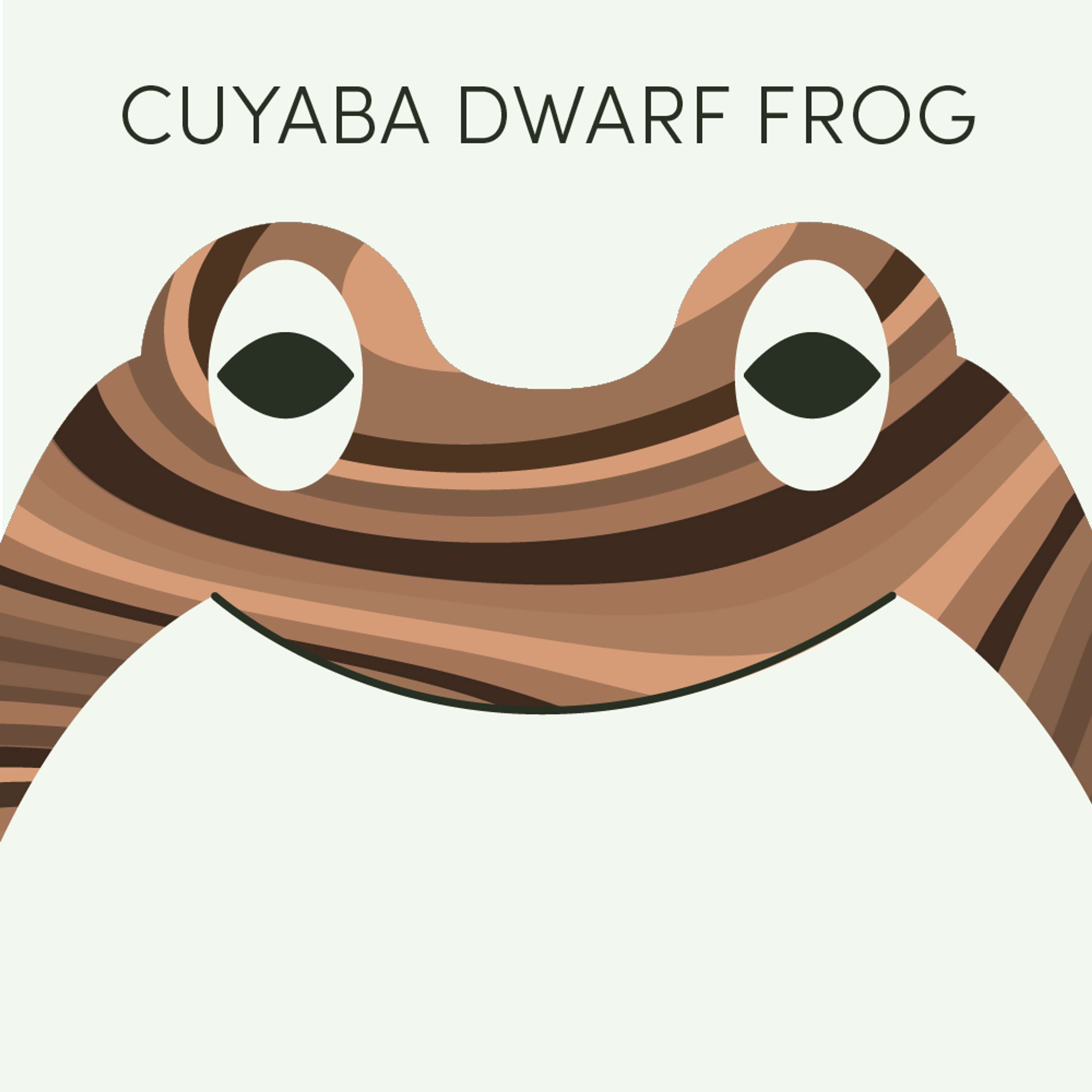 Cuyaba Dwarf Frog | Week of September 9th