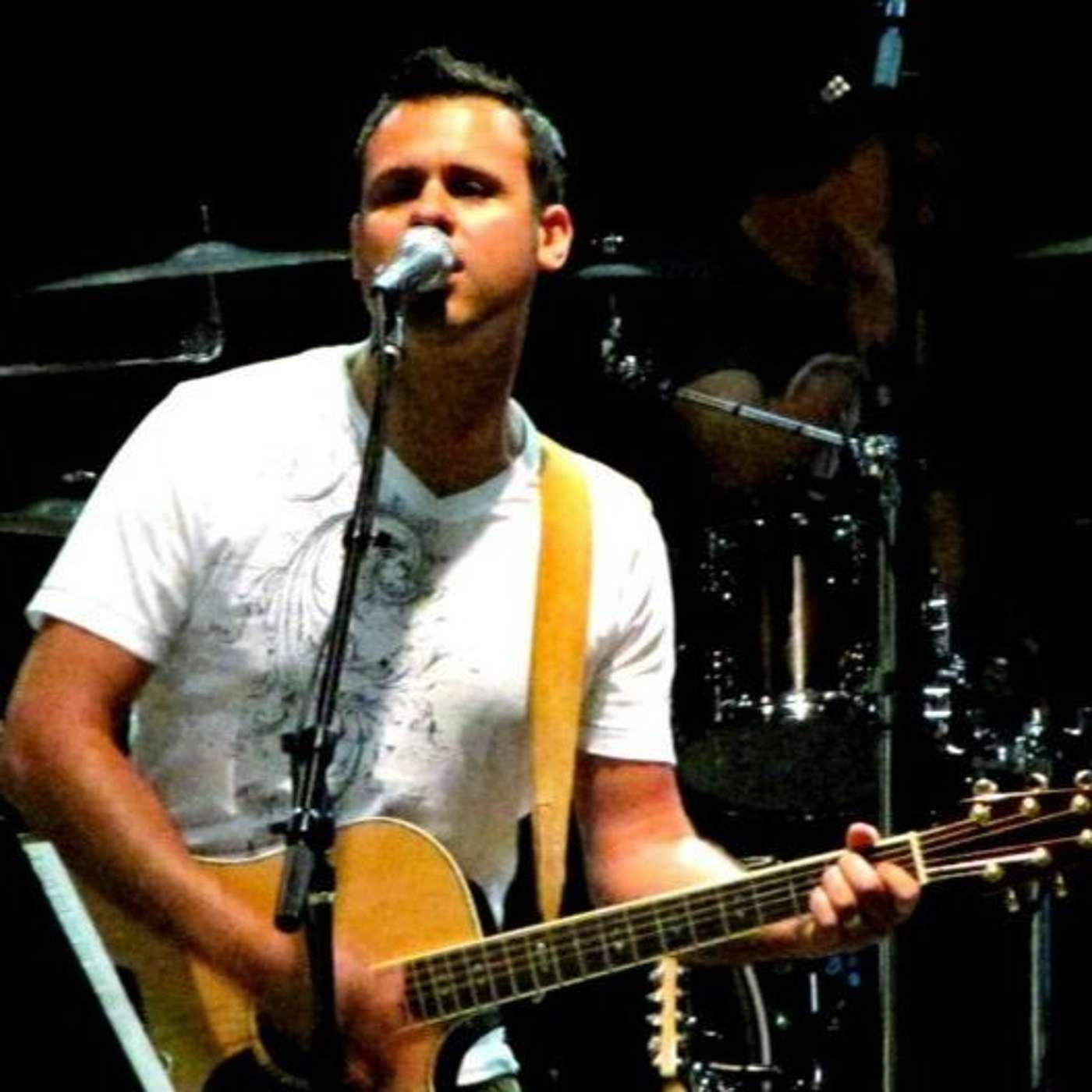 Episode 030 - Chris Ritchie - Heal the Sick Podcast Podcast Image