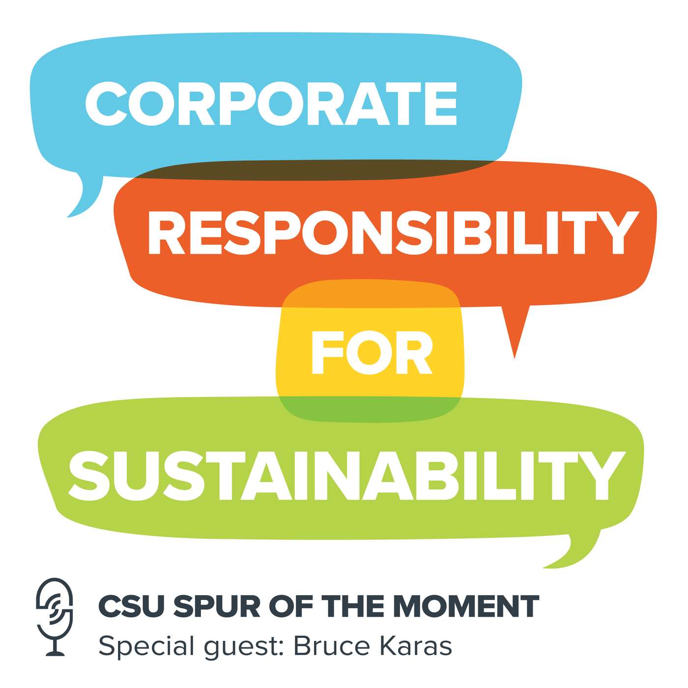 Corporate Responsibility for Sustainability with Bruce Karas Corporate Responsibility for Sustainability with Bruce Karas