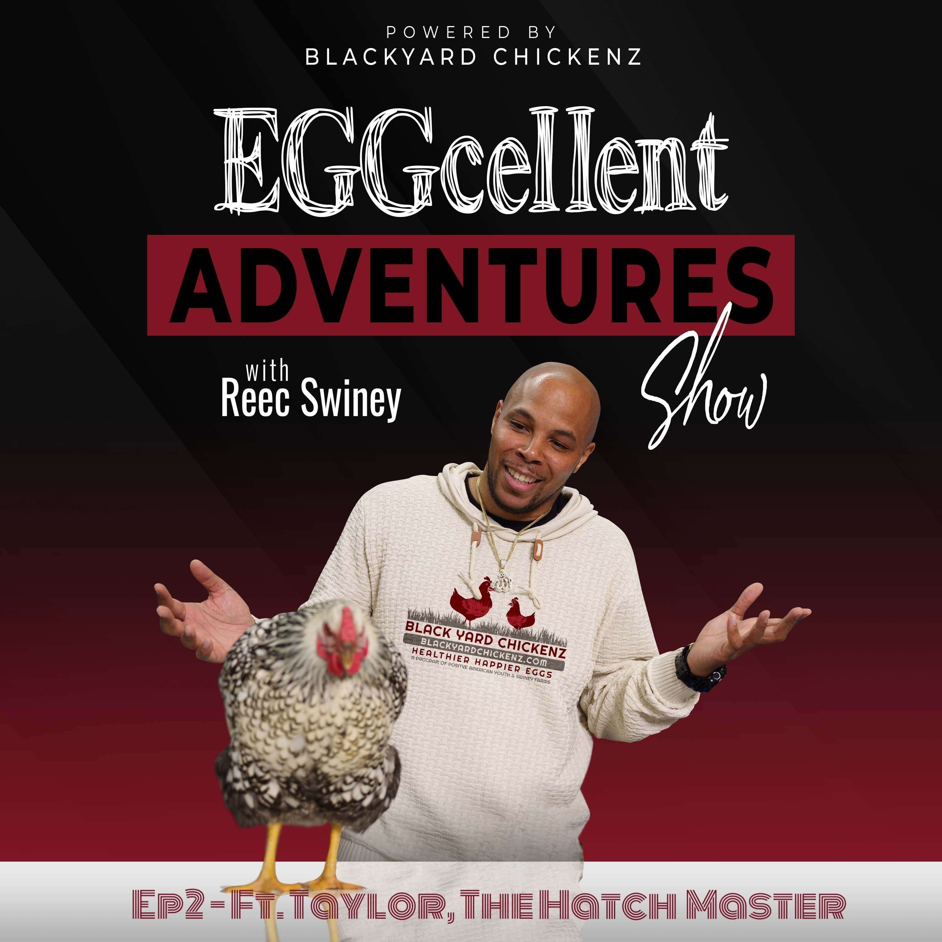 Eggcellent Adventures with Reec Swiney