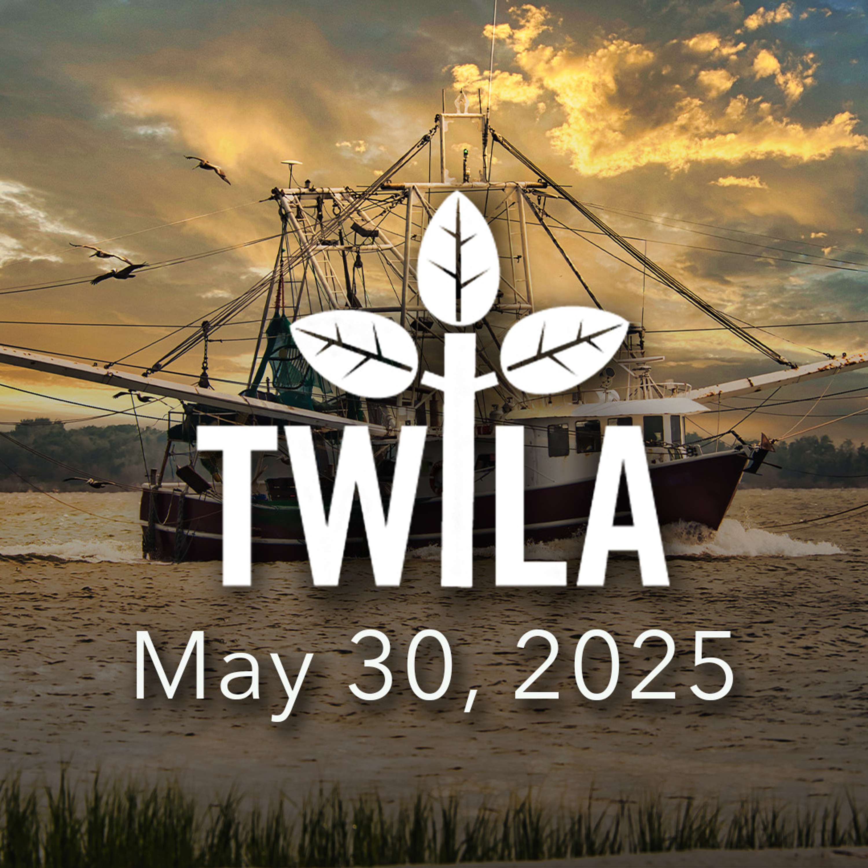 TWILA Podcast