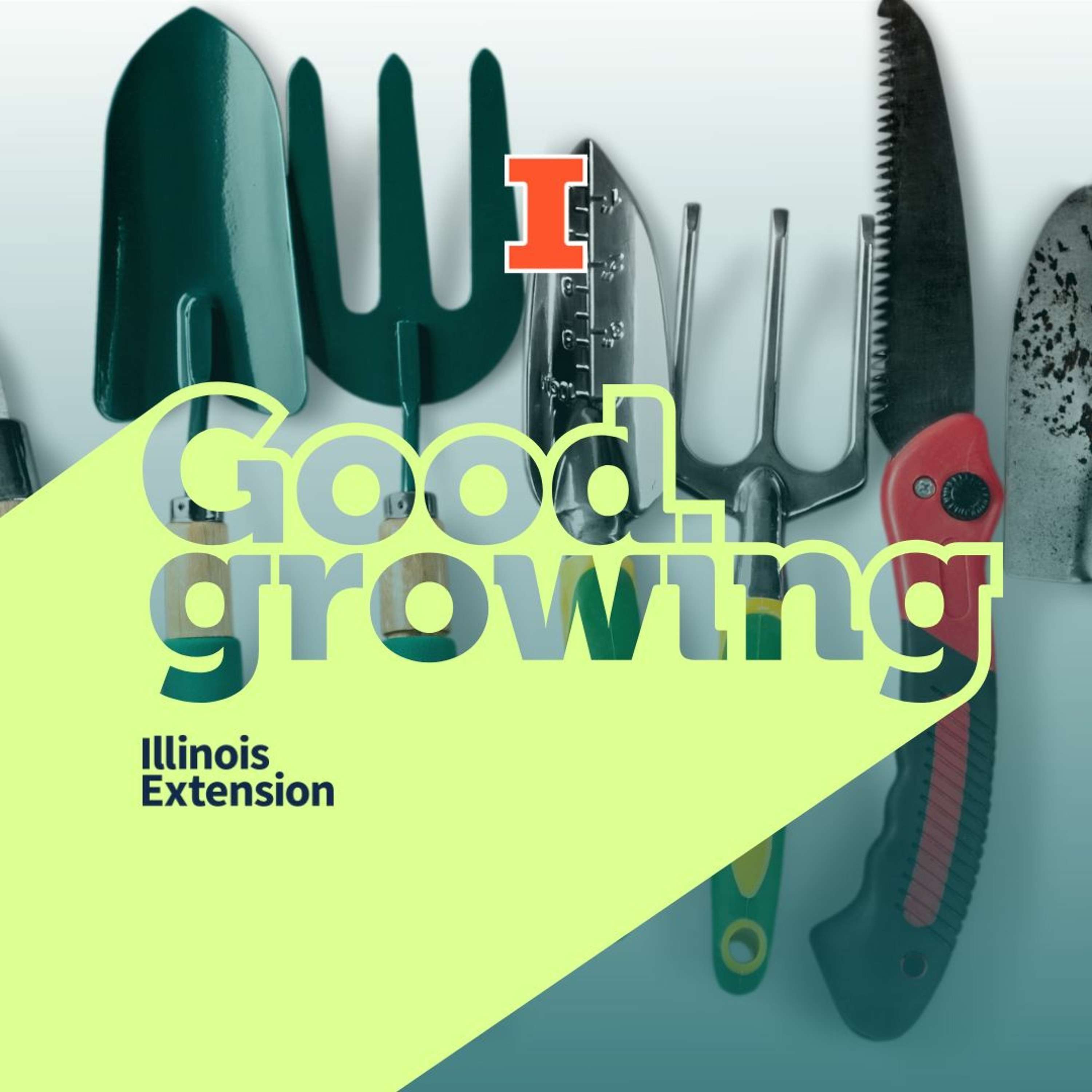 Ep. 137 Garden tools and gadgets | #GoodGrowing