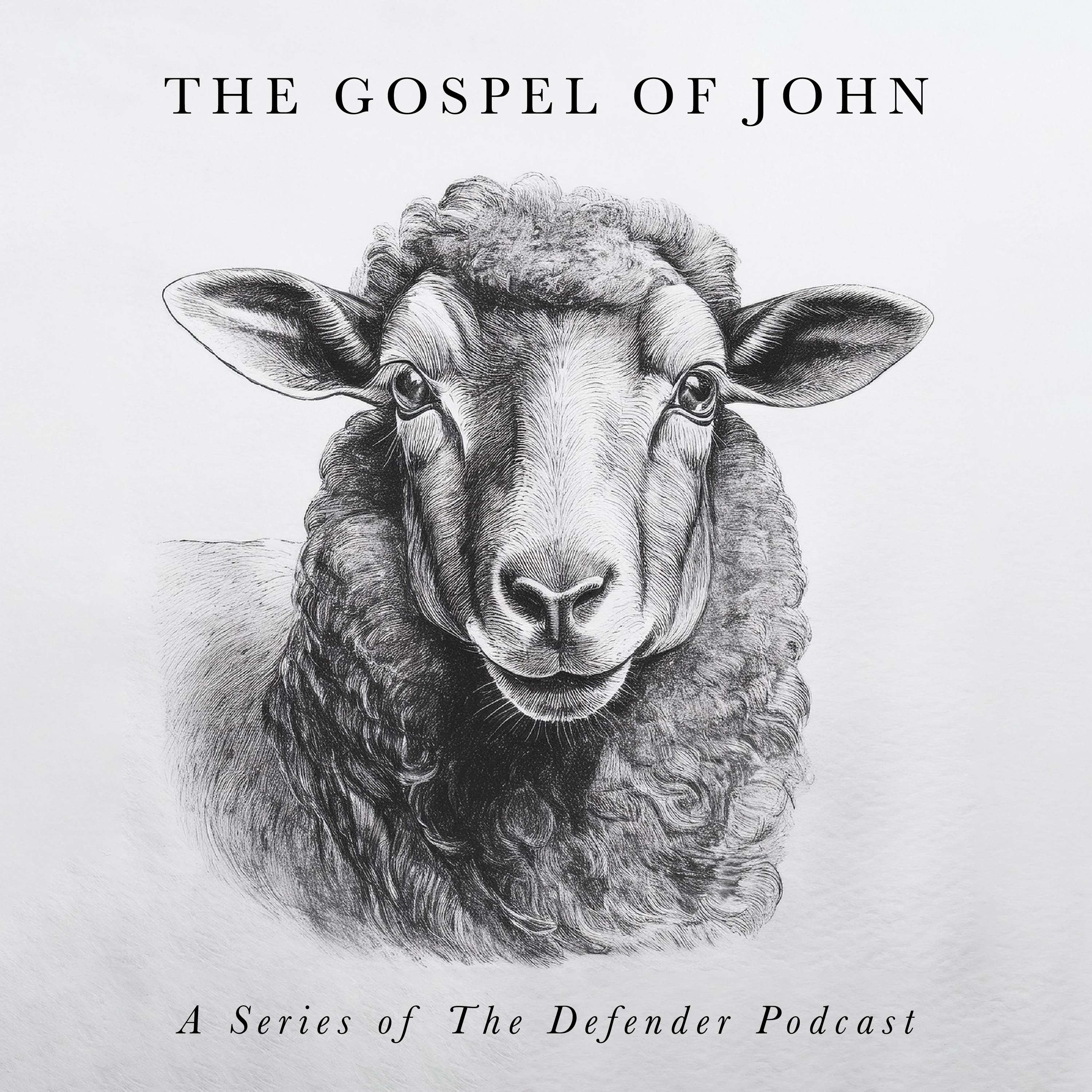 The Defender Bible Study