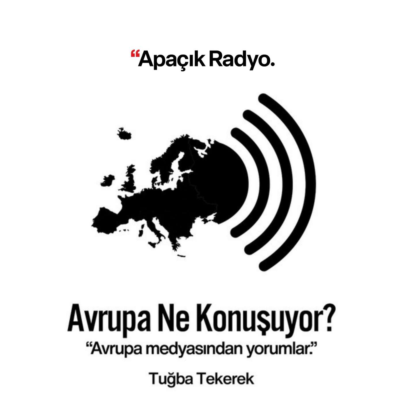 Musk'ın yeni ABD hükümetindeki rolü ne olacak? episode artwork