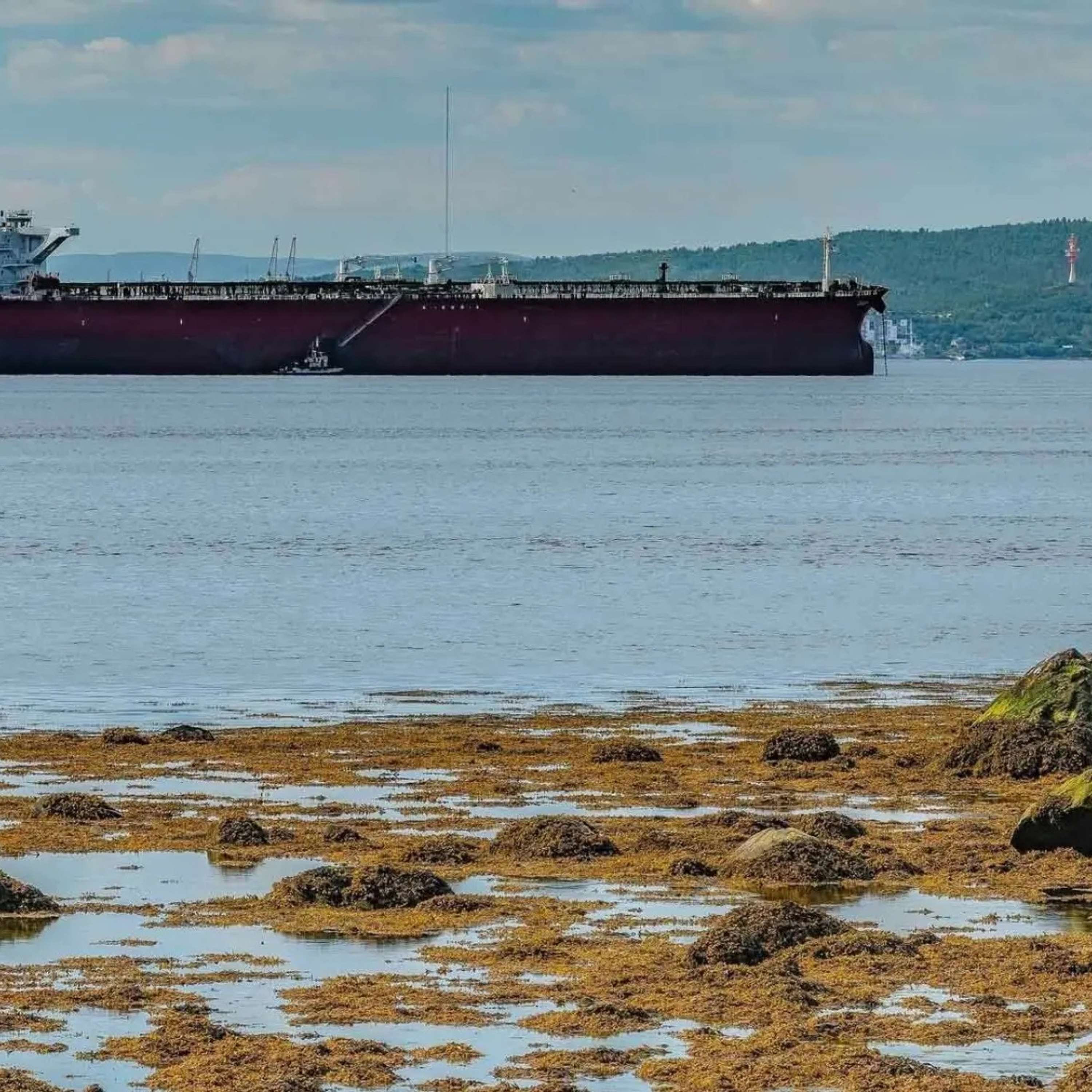 Более 30 танкеров «теневого флота» под санкциями курсируют на север вдоль побережья Норвегии